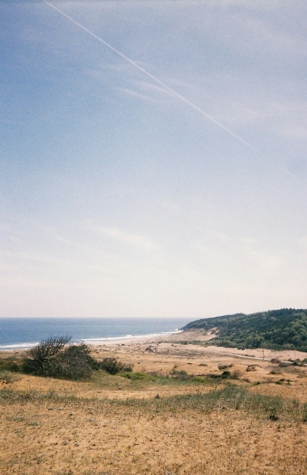 a landscape with grass and trees