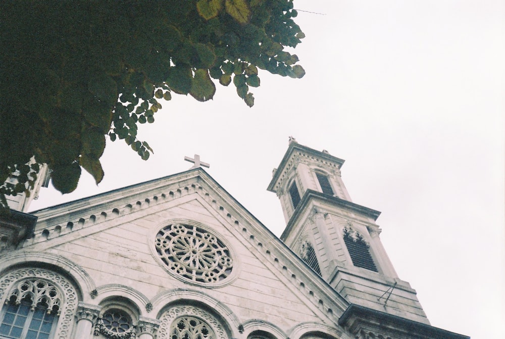 a tree in front of a church