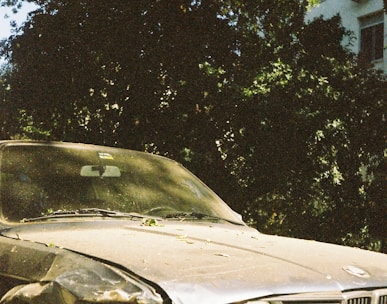 a car with a tree in the background