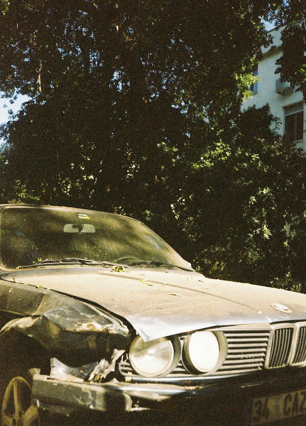 a car with a tree in the background