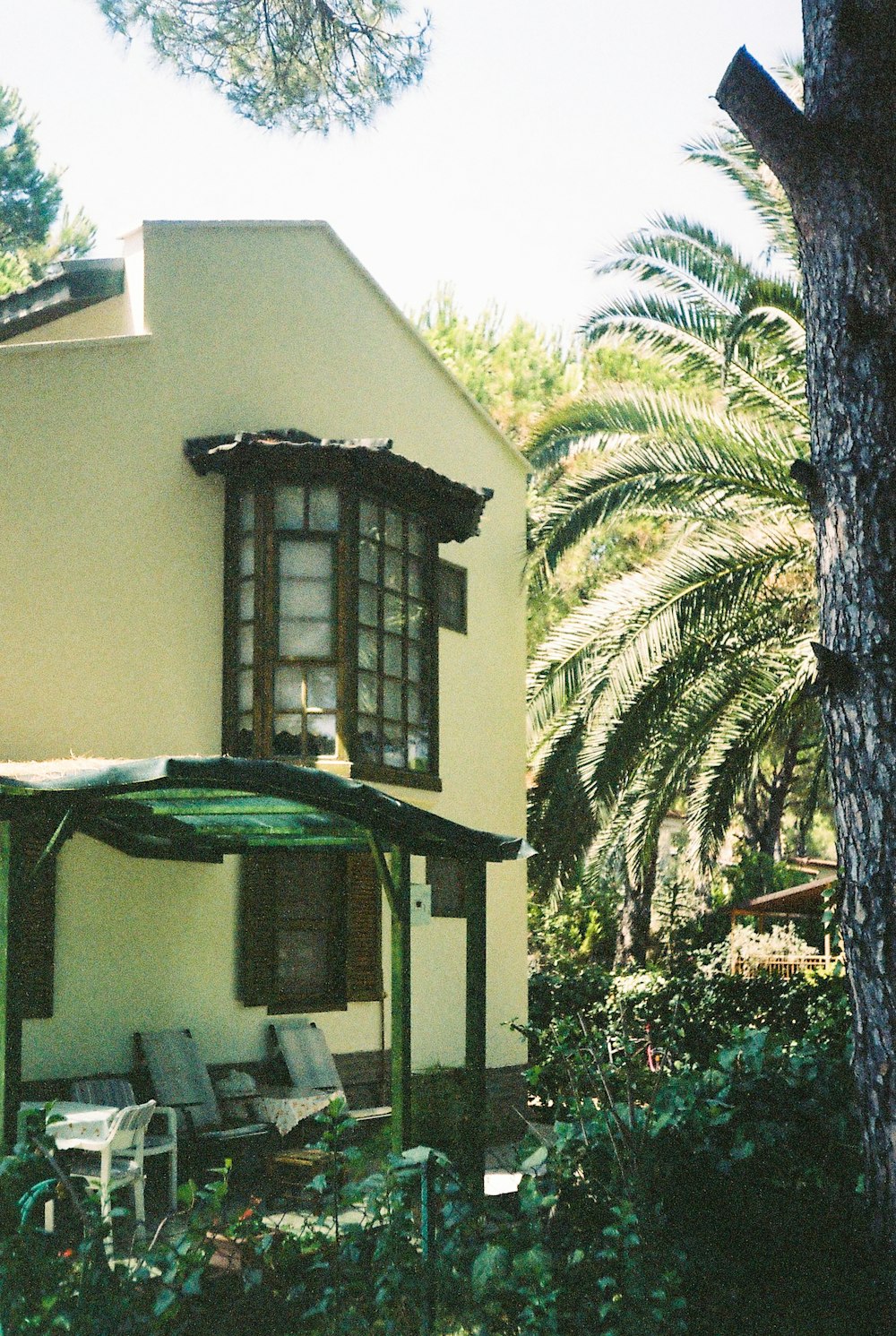 a house with a palm tree