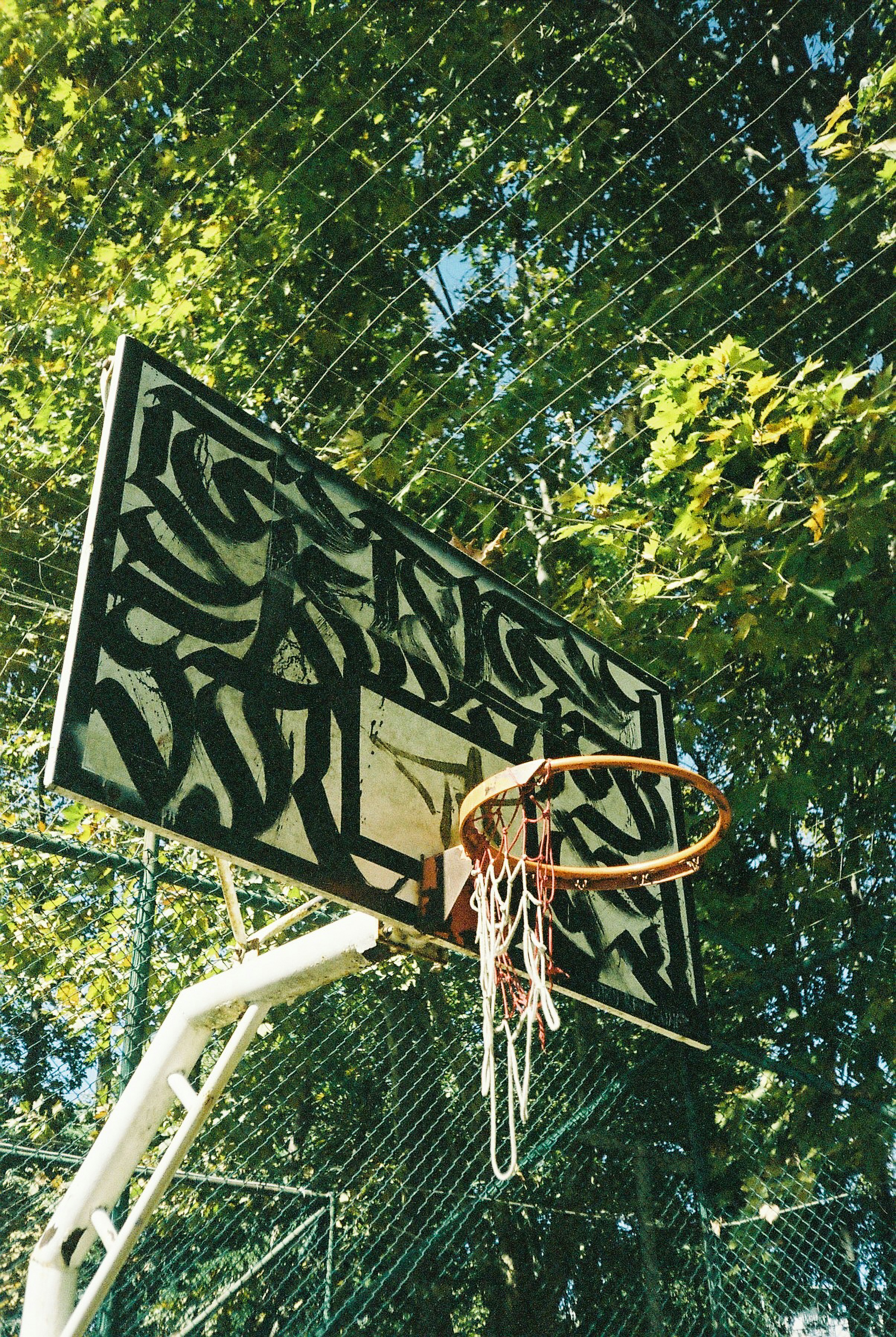 basket nba