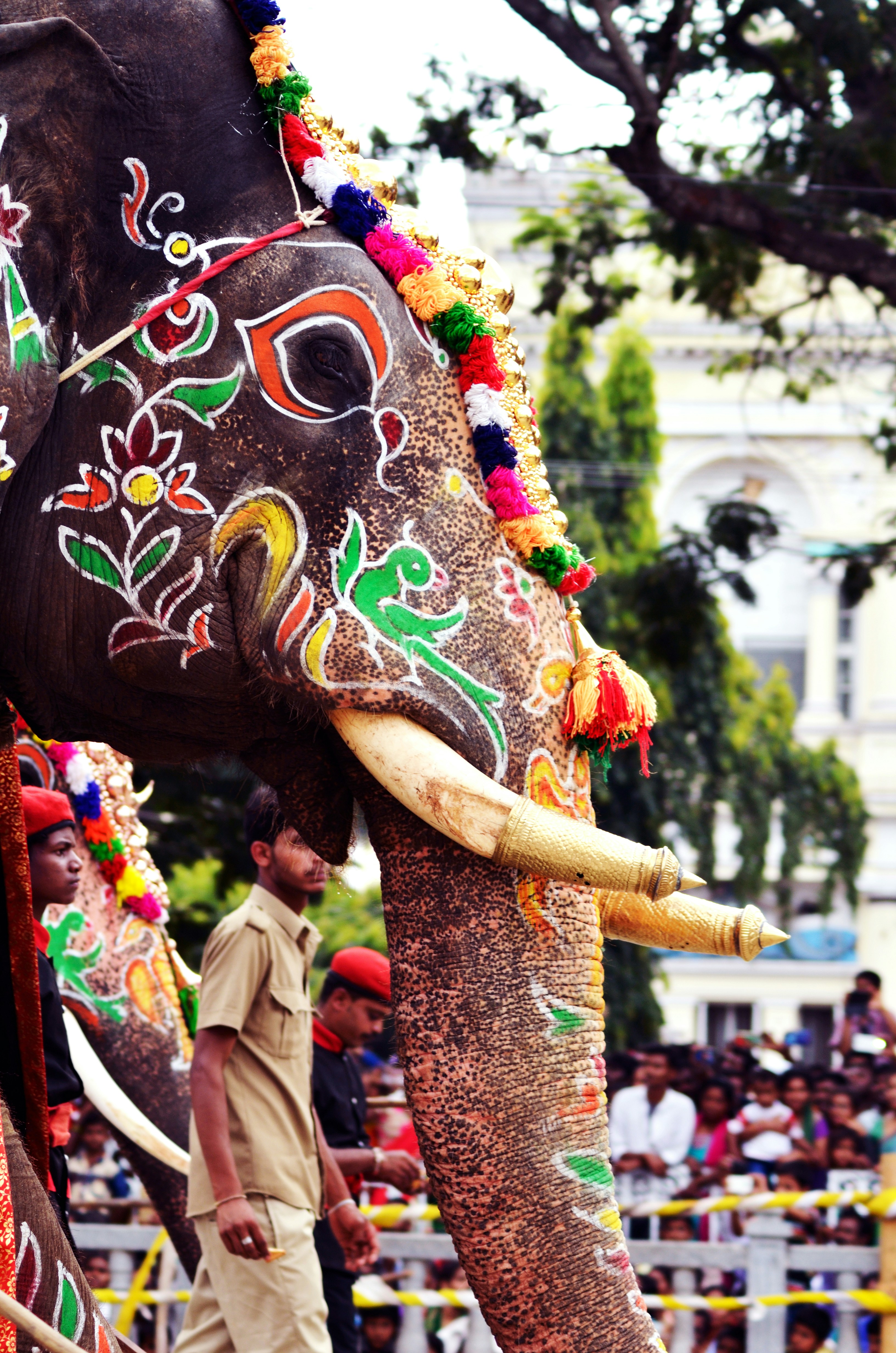 Photo by rithishmahadevu