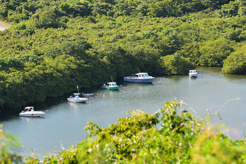 a group of boats on a river