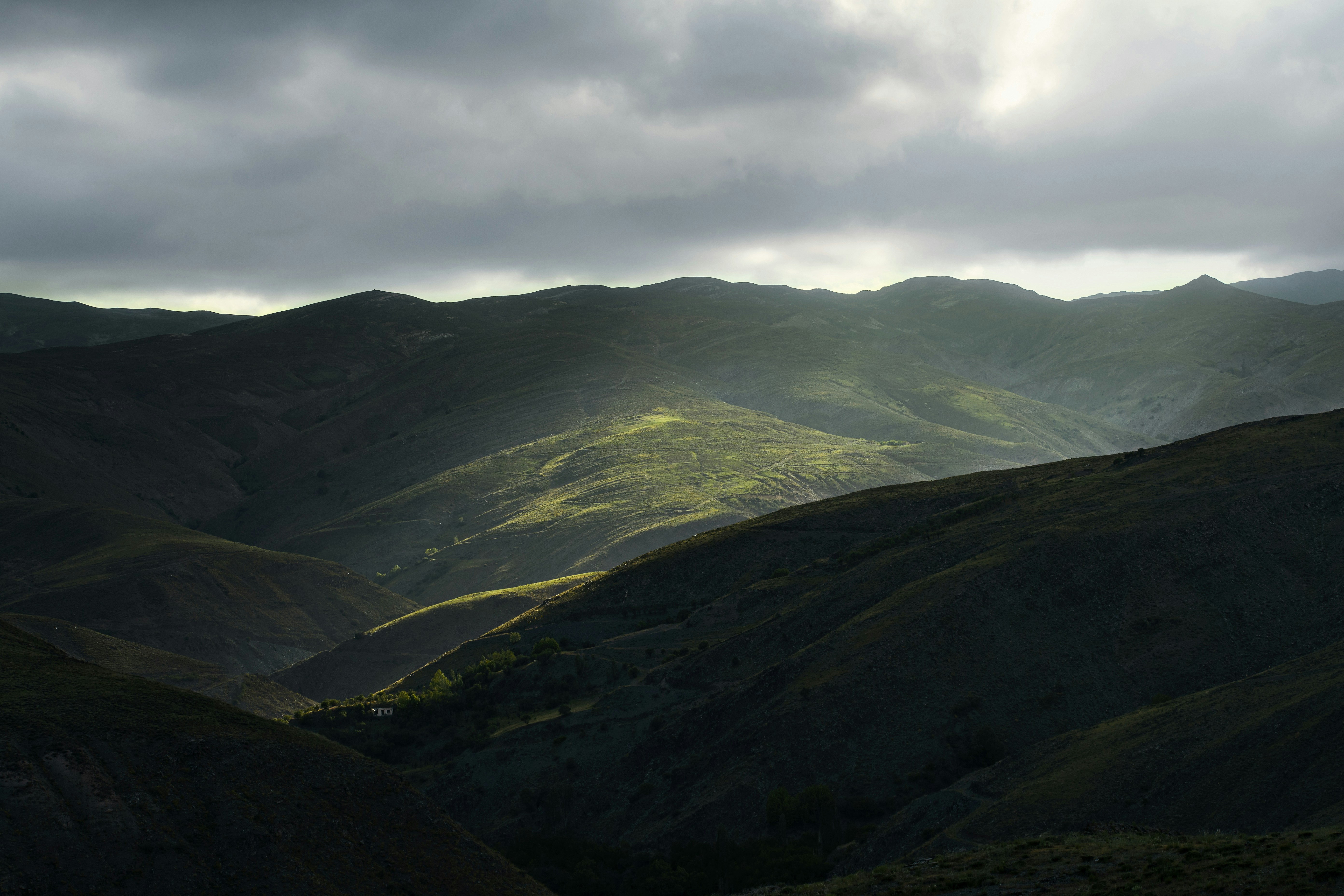 Photo by s_ahmadreza_p