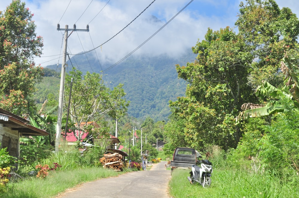 a road with trees and houses on the side