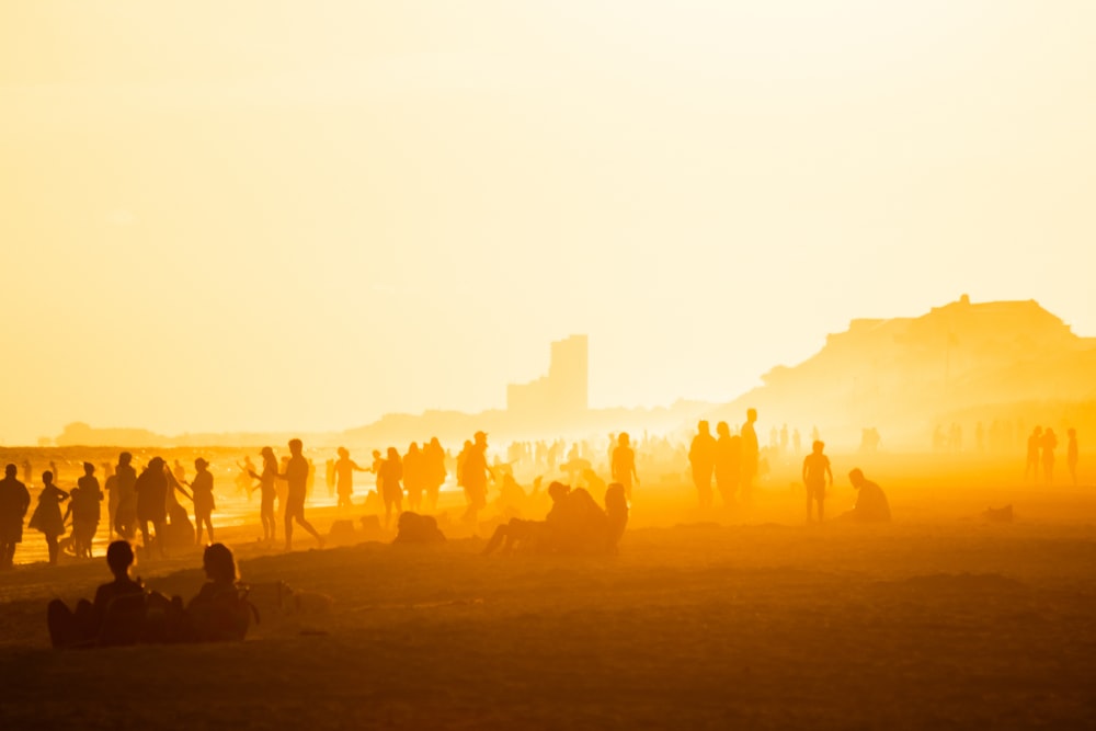 a group of people standing on a beach