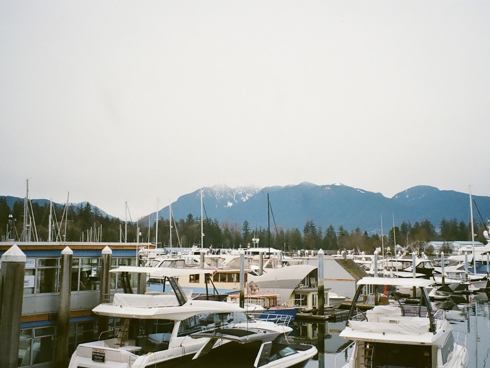 a group of boats parked on a dock with a mountain in the background