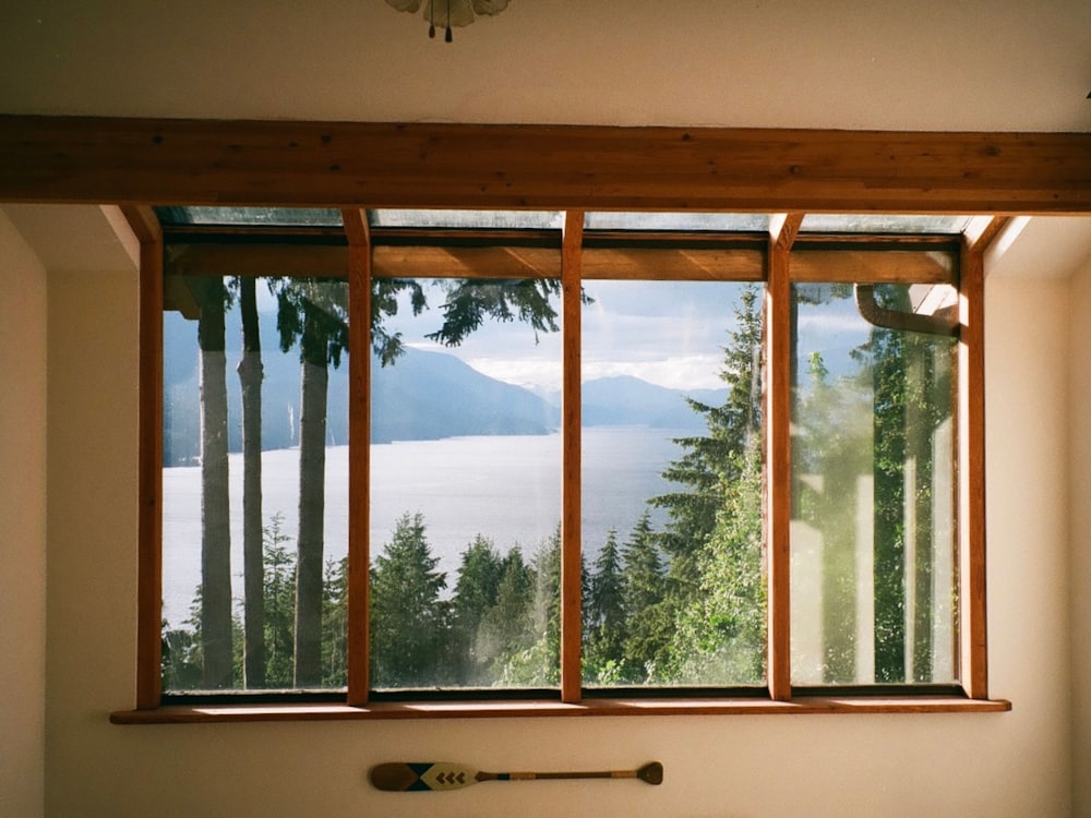 a window with trees outside