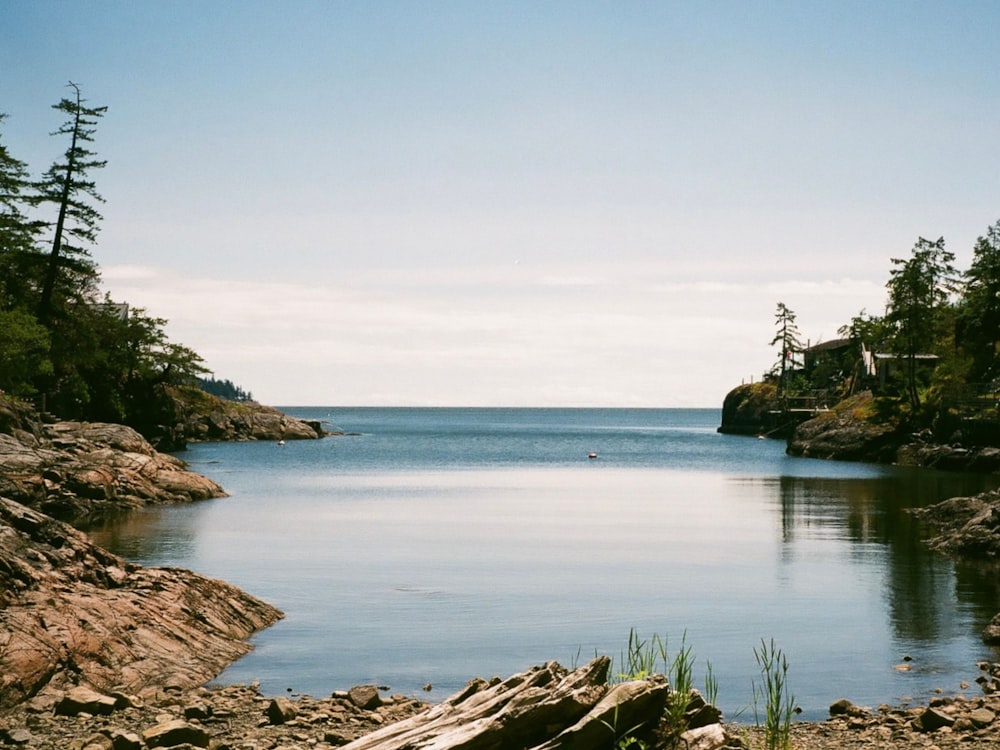 a beach with rocks and trees