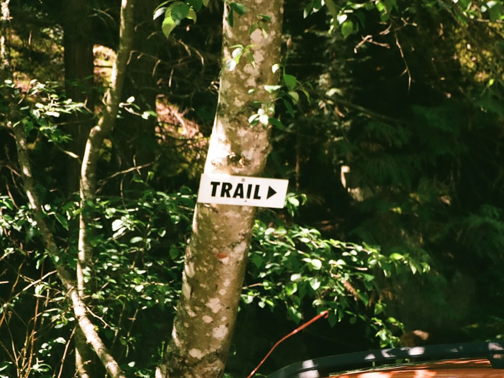 a sign on a tree