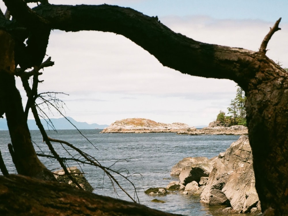 a view of the ocean through a stone archway