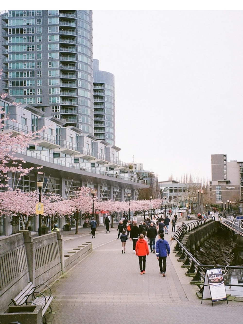 people walking on a path between buildings