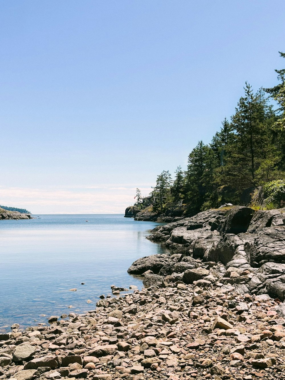 a rocky beach with trees and water