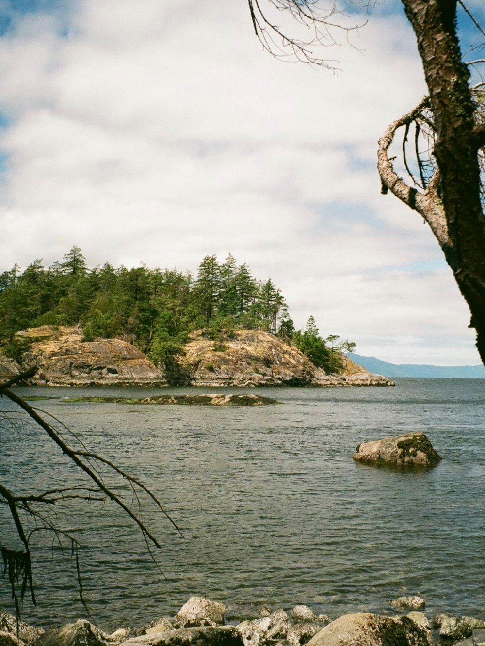 a rocky beach with trees and a body of water