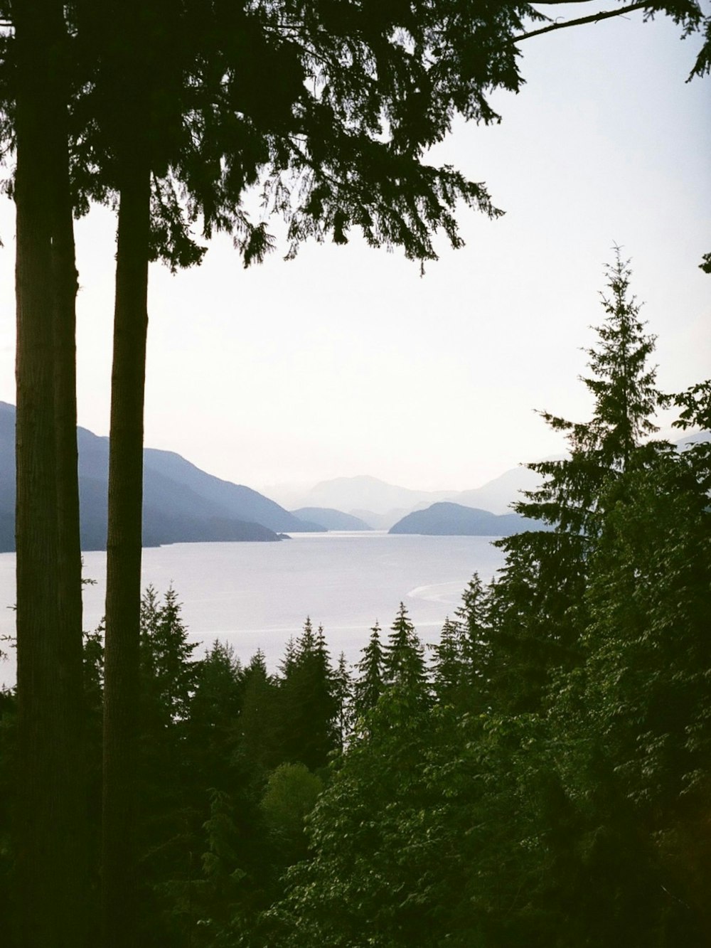 a view of a lake and mountains