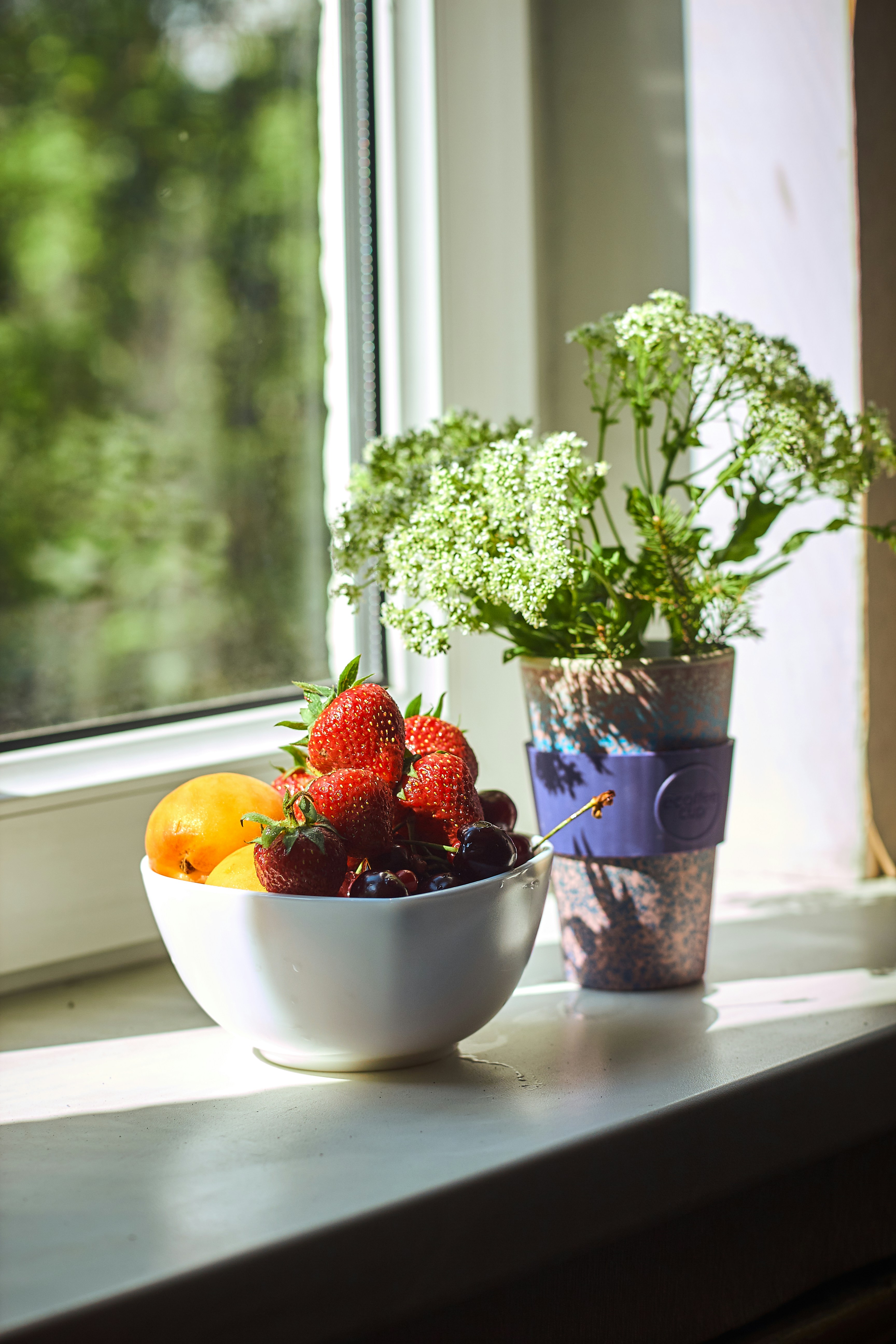 4 Best Plants Fridge Essentials You Need Before Starting