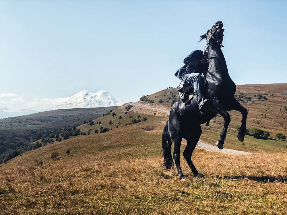 a horse with a saddle on its back