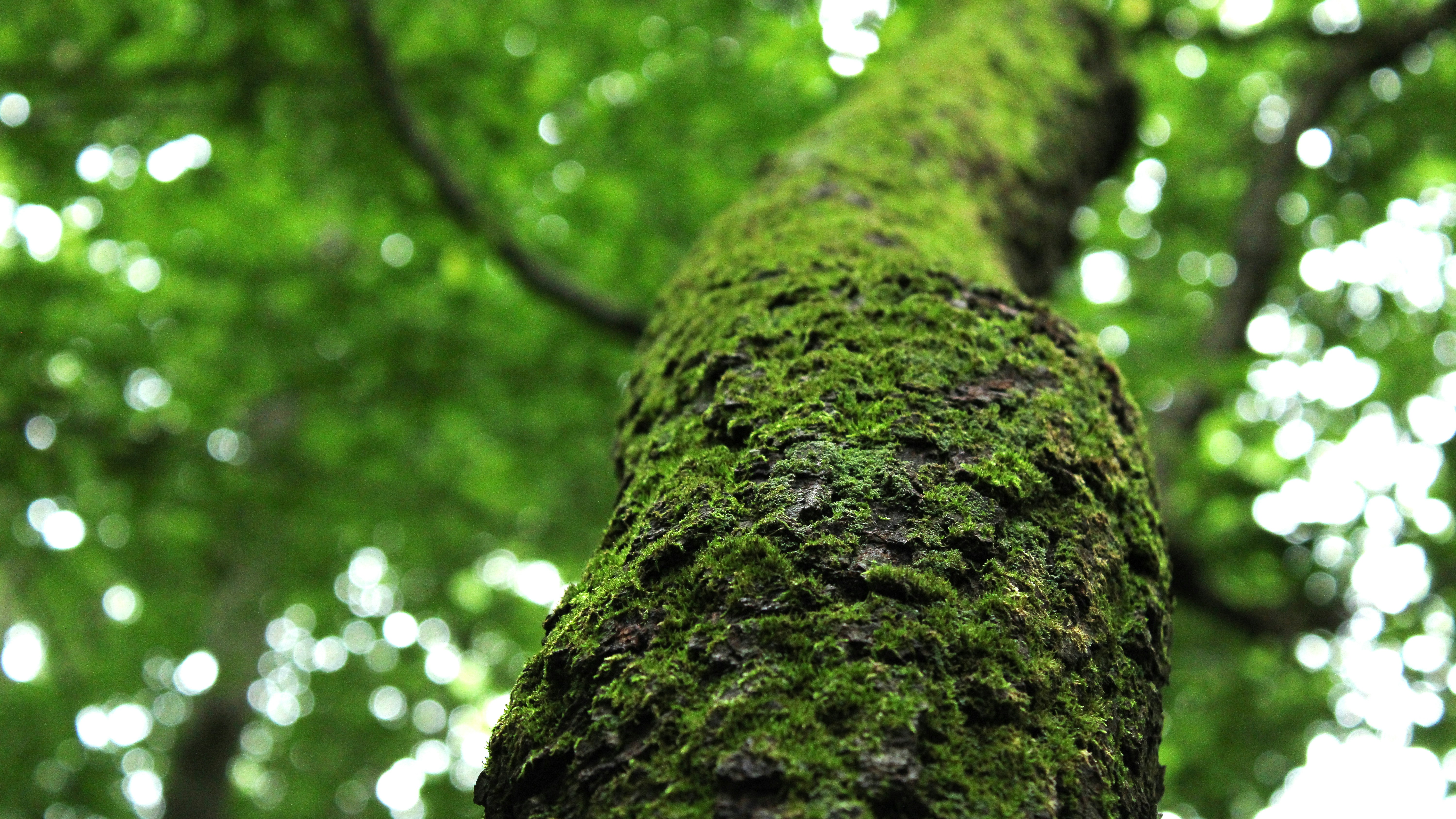 Photo by jasonmphoto