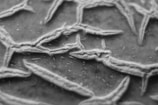 A close-up of a 3D model showcasing intricate details and textures.
