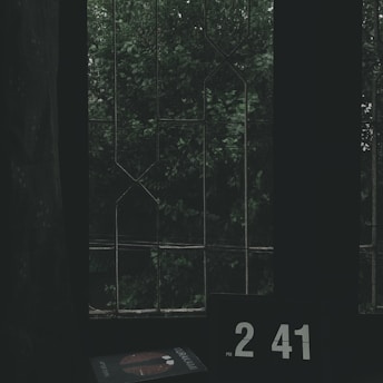 A dimly lit room with a digital clock displaying 2:41 PM and a book with a visible spine featuring the author's name, Murakami, rests on a surface near a window. The window has a grid-like pattern and is covered with mesh, offering a view of dense, green foliage outside.