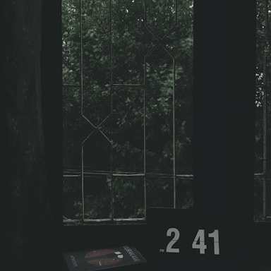 A dimly lit room with a digital clock displaying 2:41 PM and a book with a visible spine featuring the author's name, Murakami, rests on a surface near a window. The window has a grid-like pattern and is covered with mesh, offering a view of dense, green foliage outside.