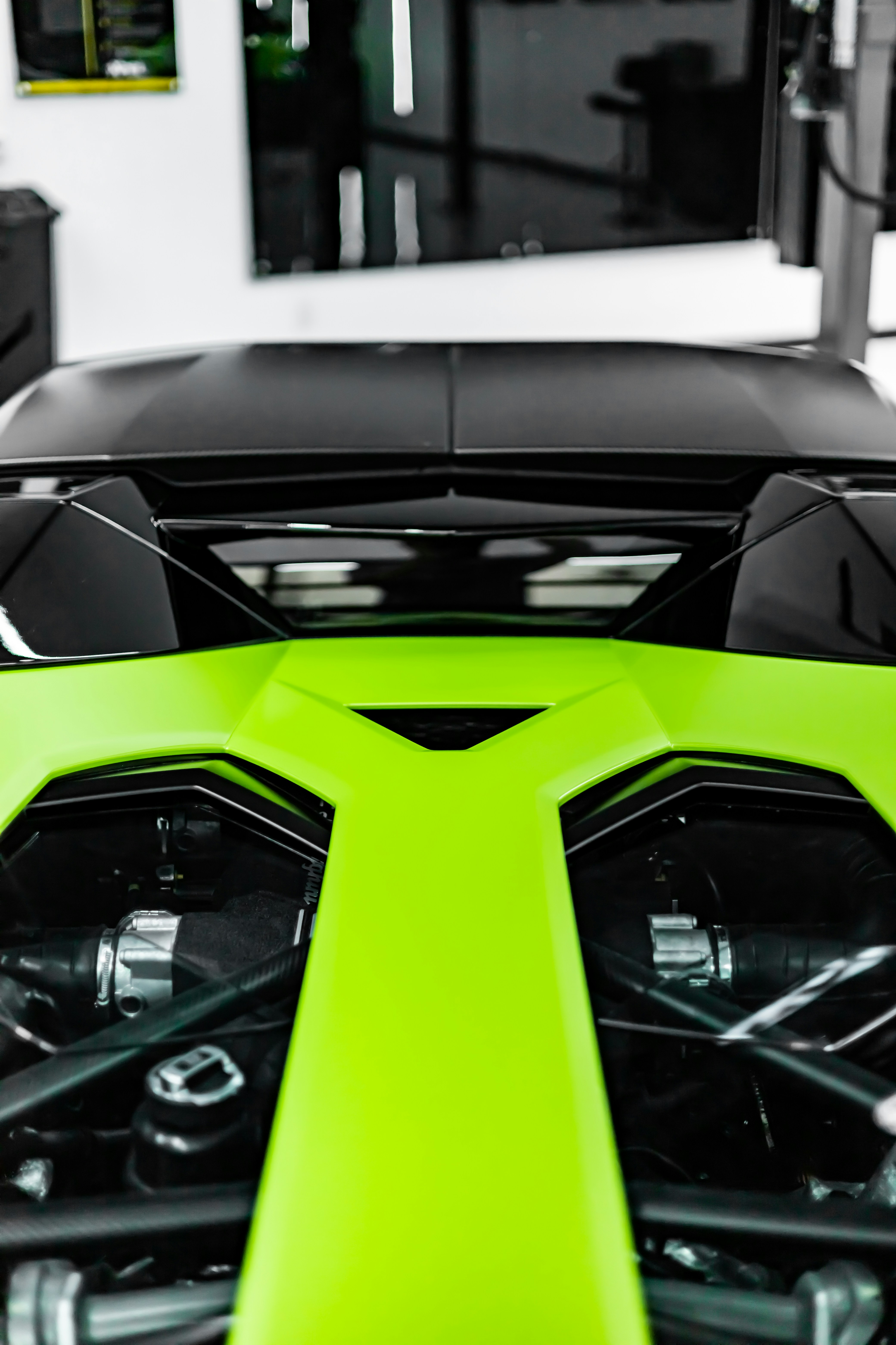 Photo by lonestarexotic