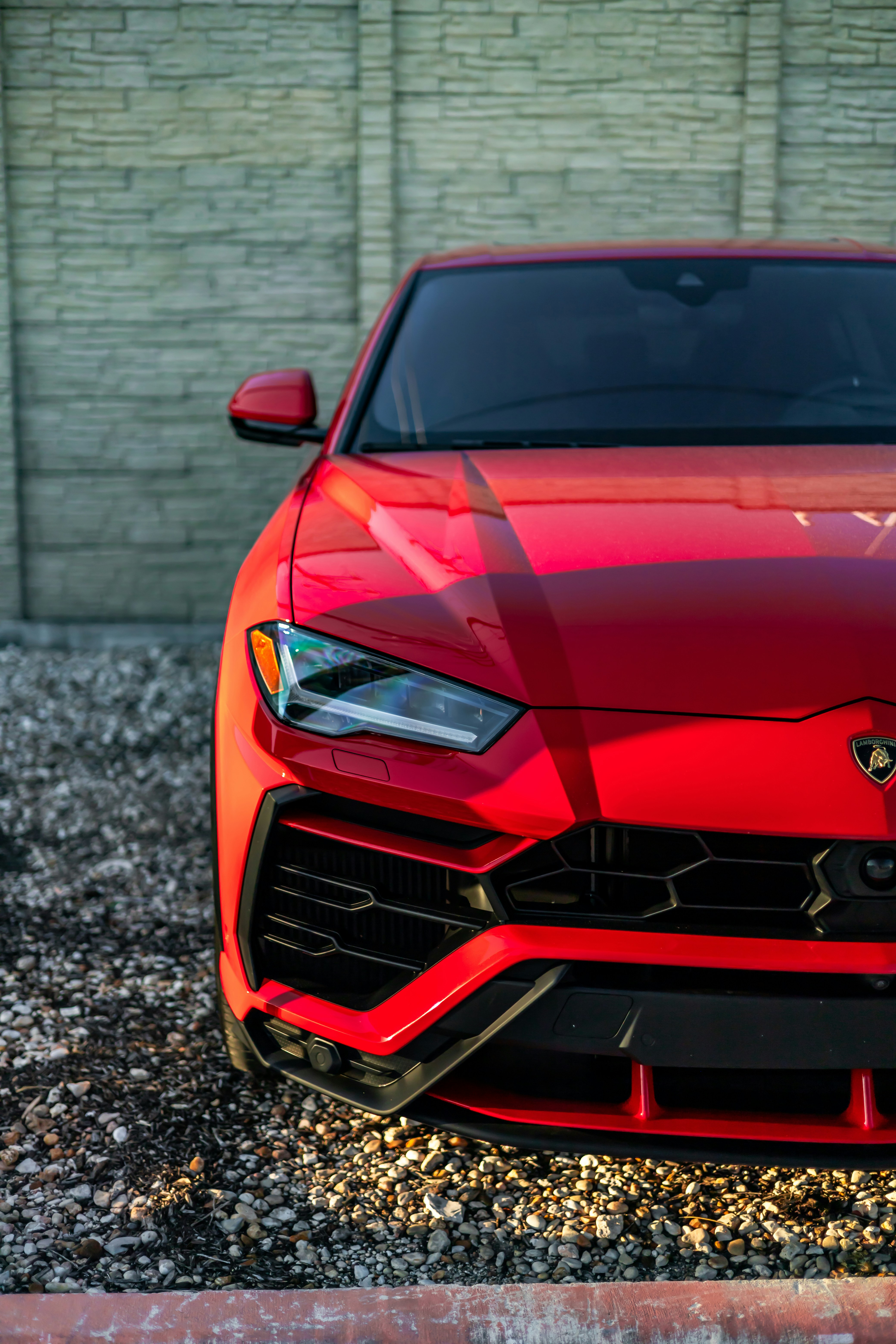 Photo by lonestarexotic