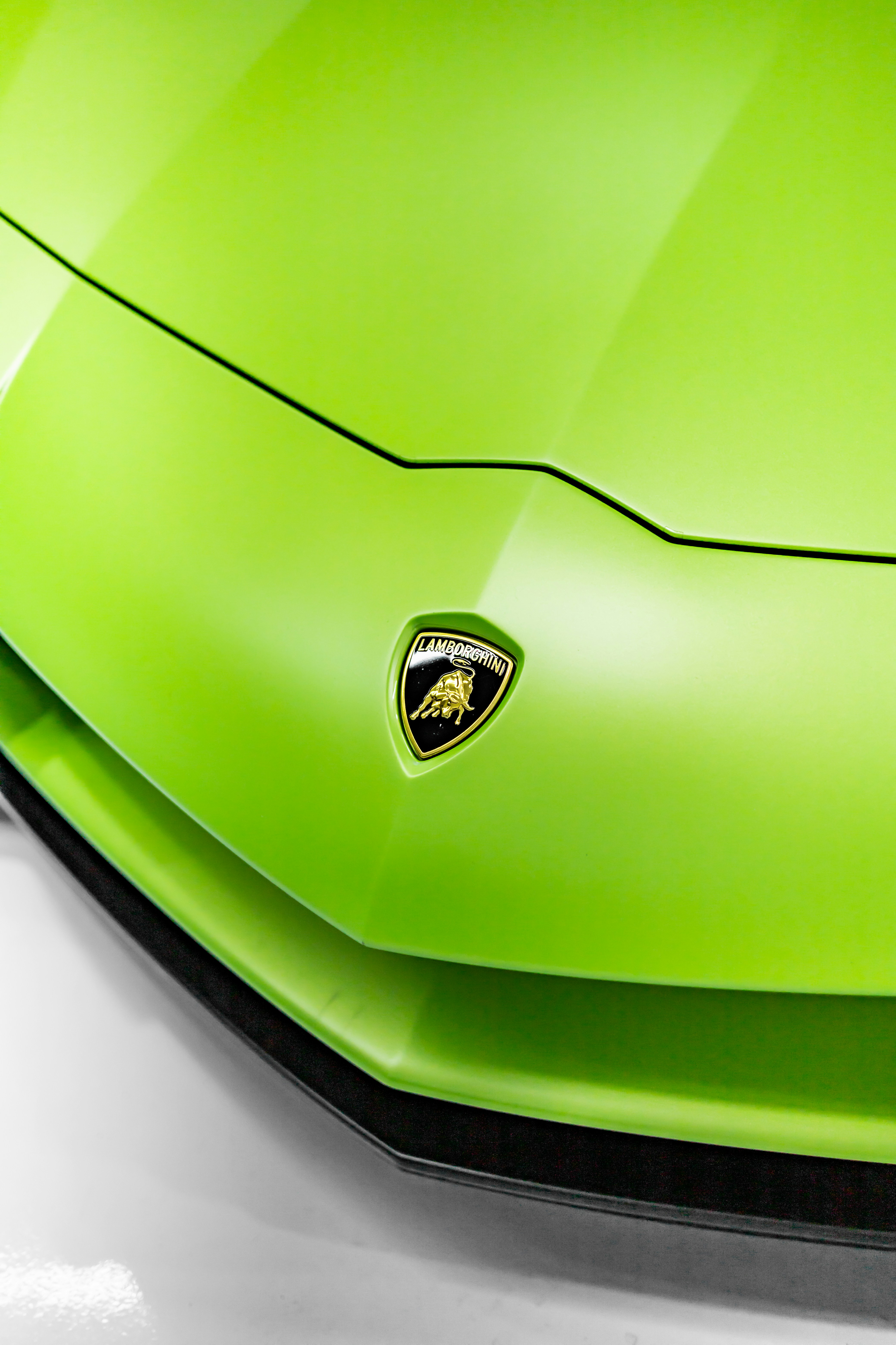 Photo by lonestarexotic