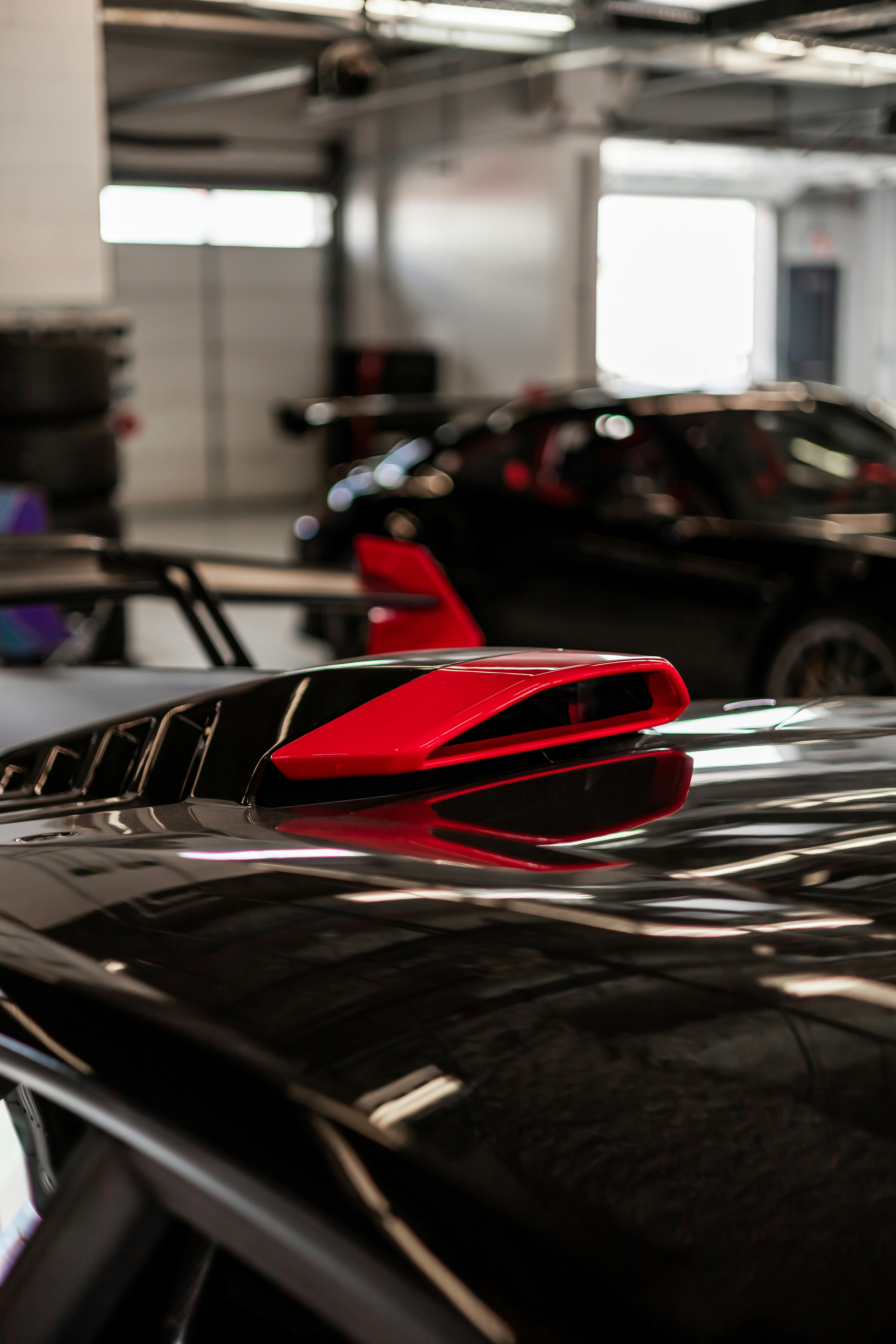 Photo by lonestarexotic