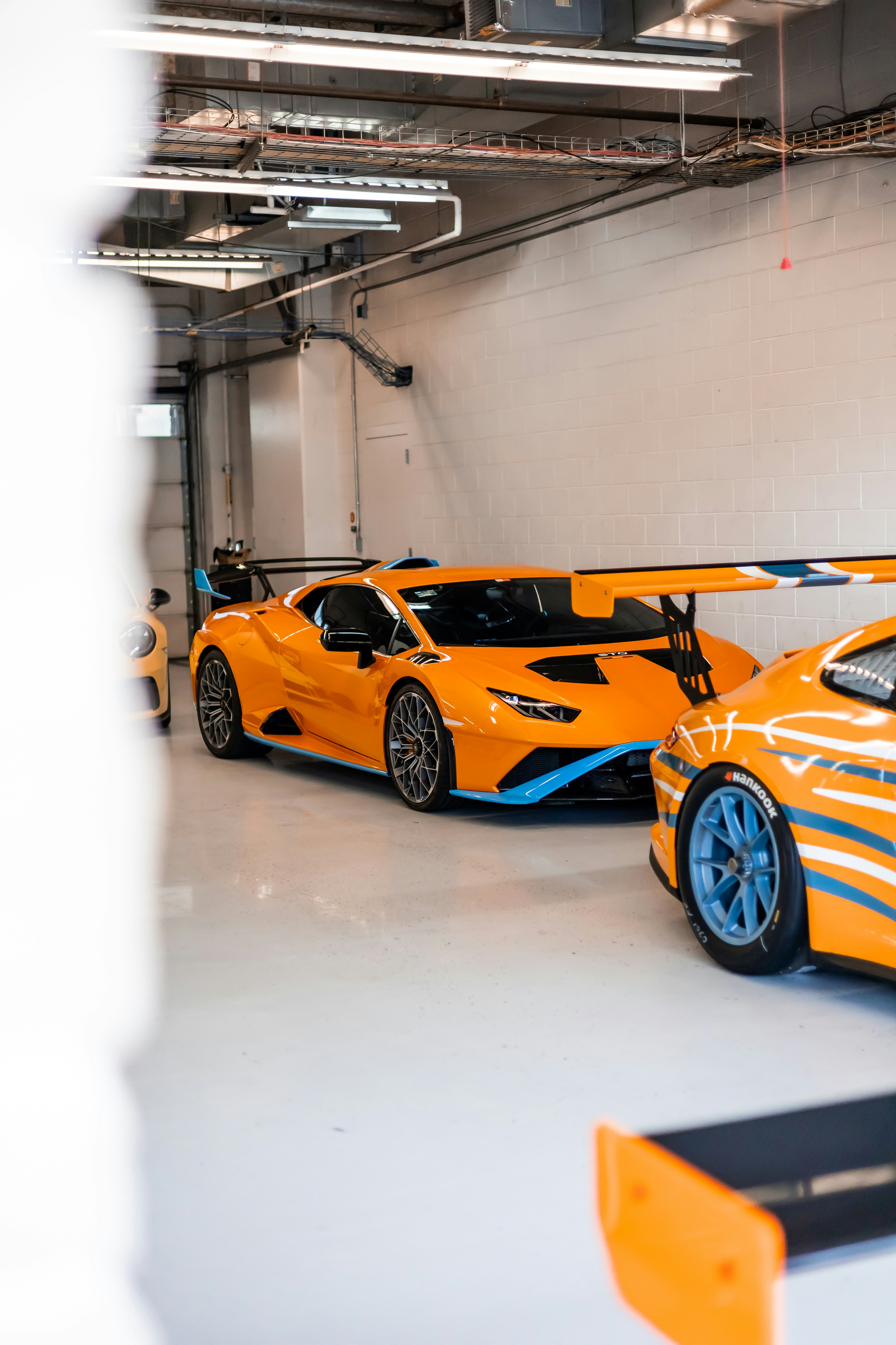 Photo by lonestarexotic