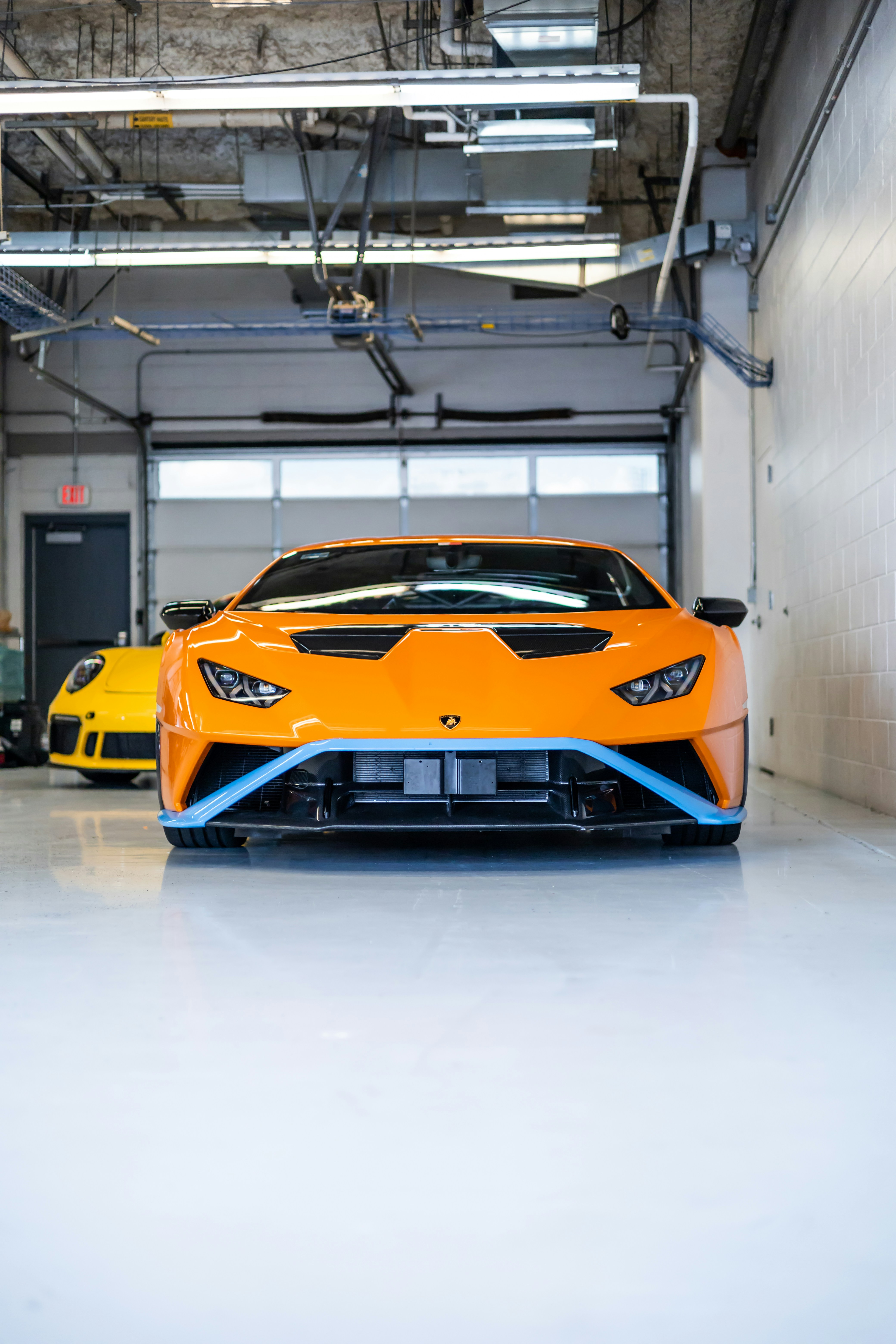 Photo by lonestarexotic