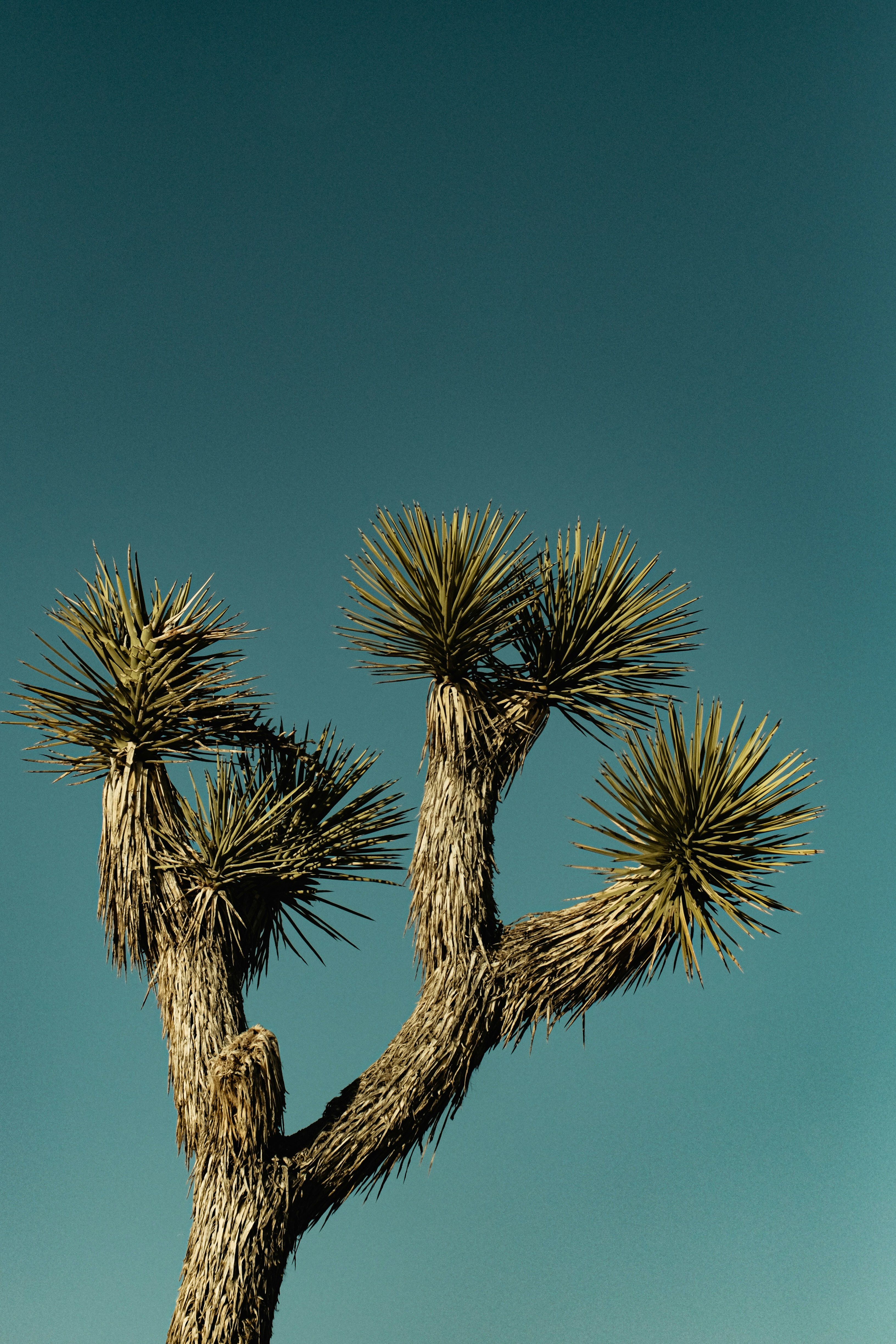 Photo by jhudsongraves