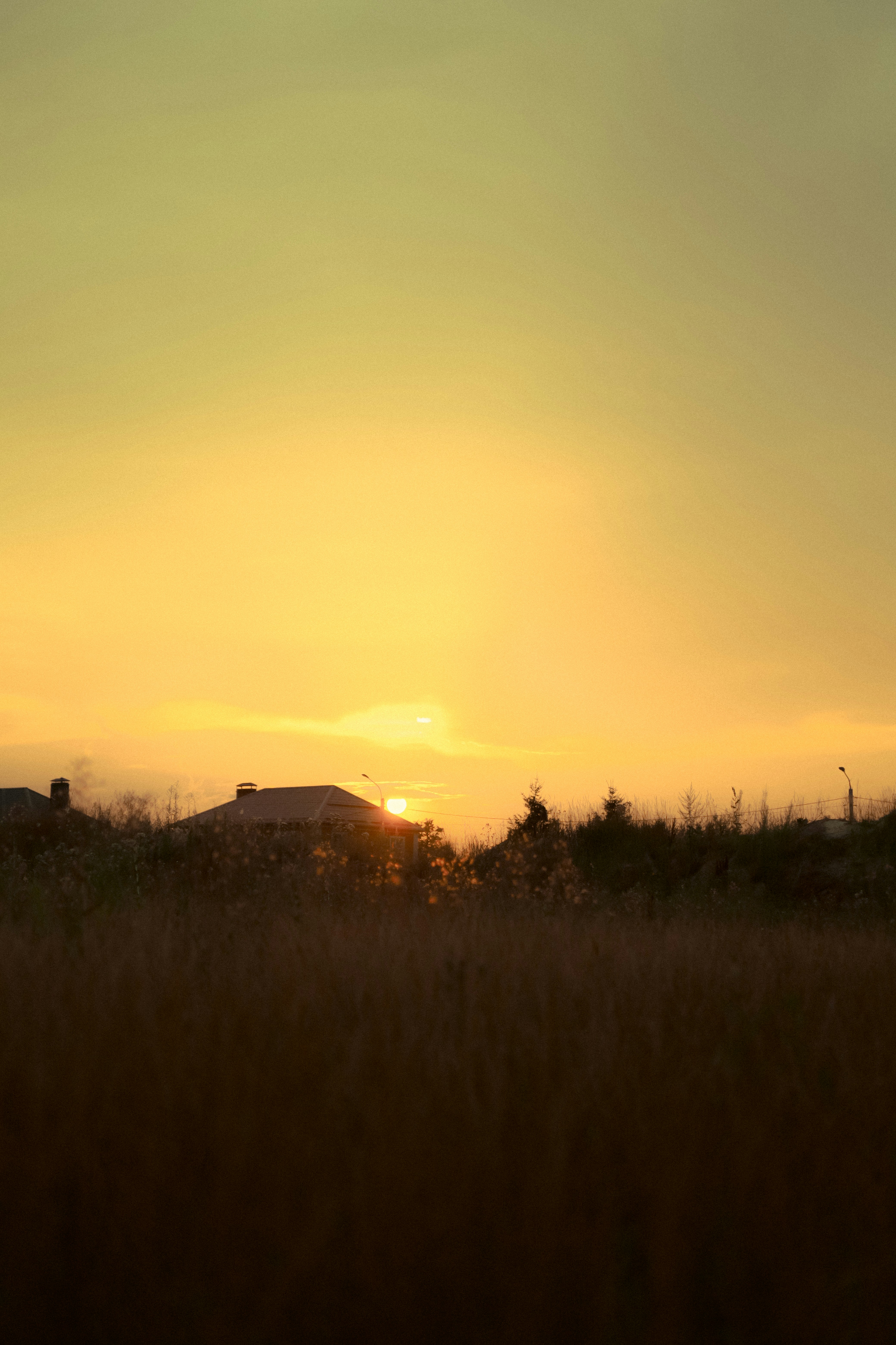 Photo by fez_wee
