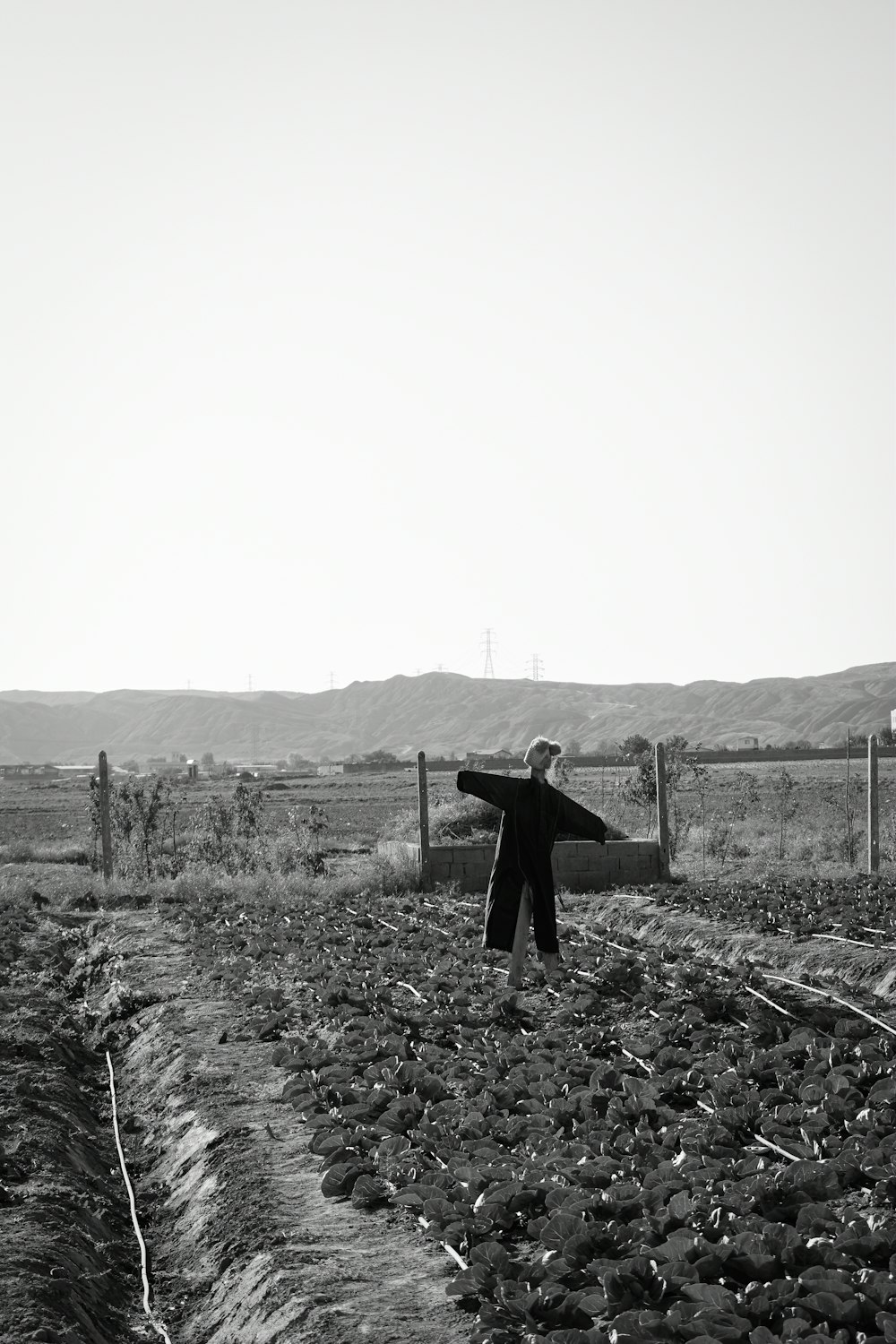 a person standing in a field