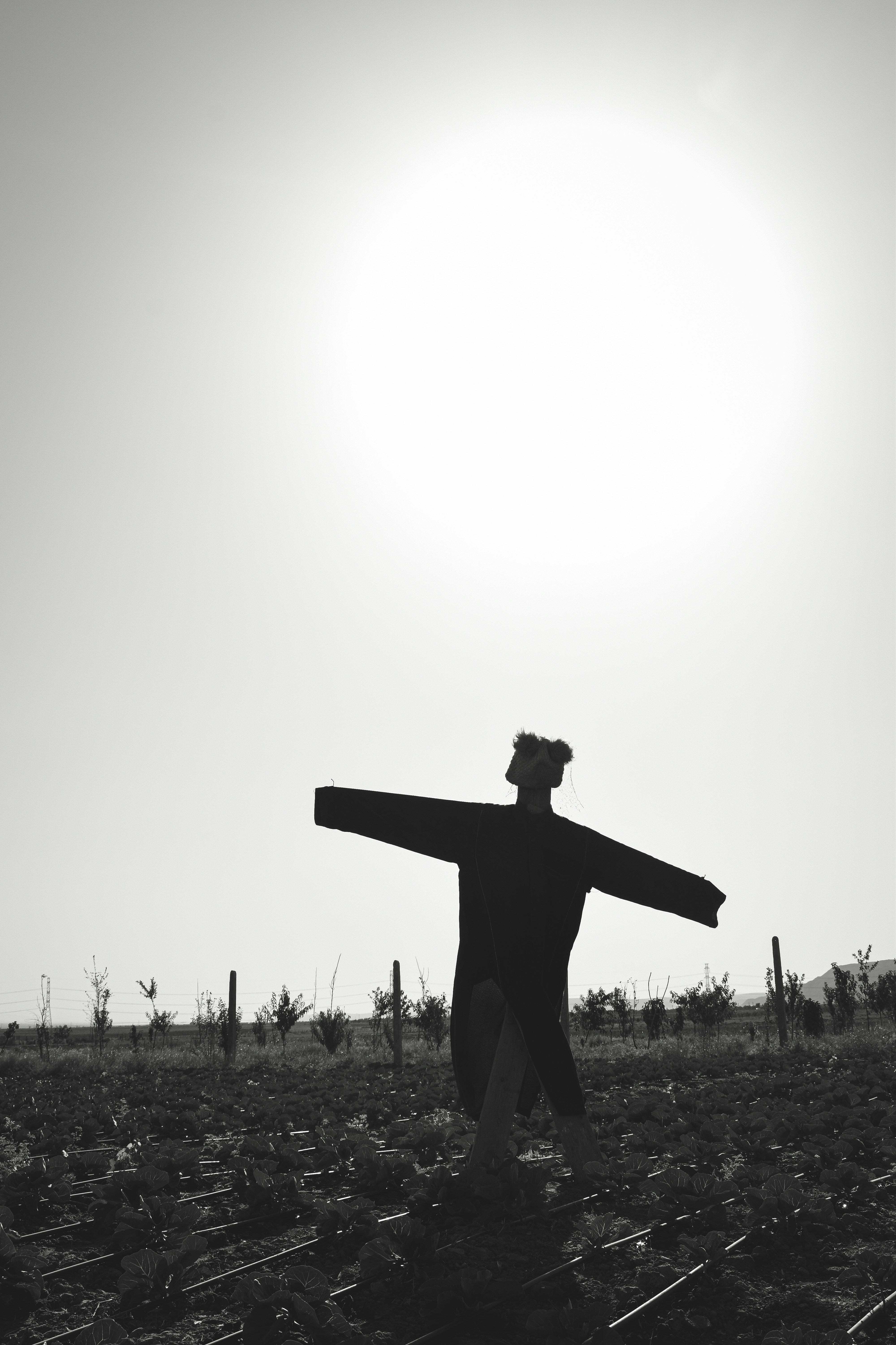 una persona de pie con los brazos extendidos