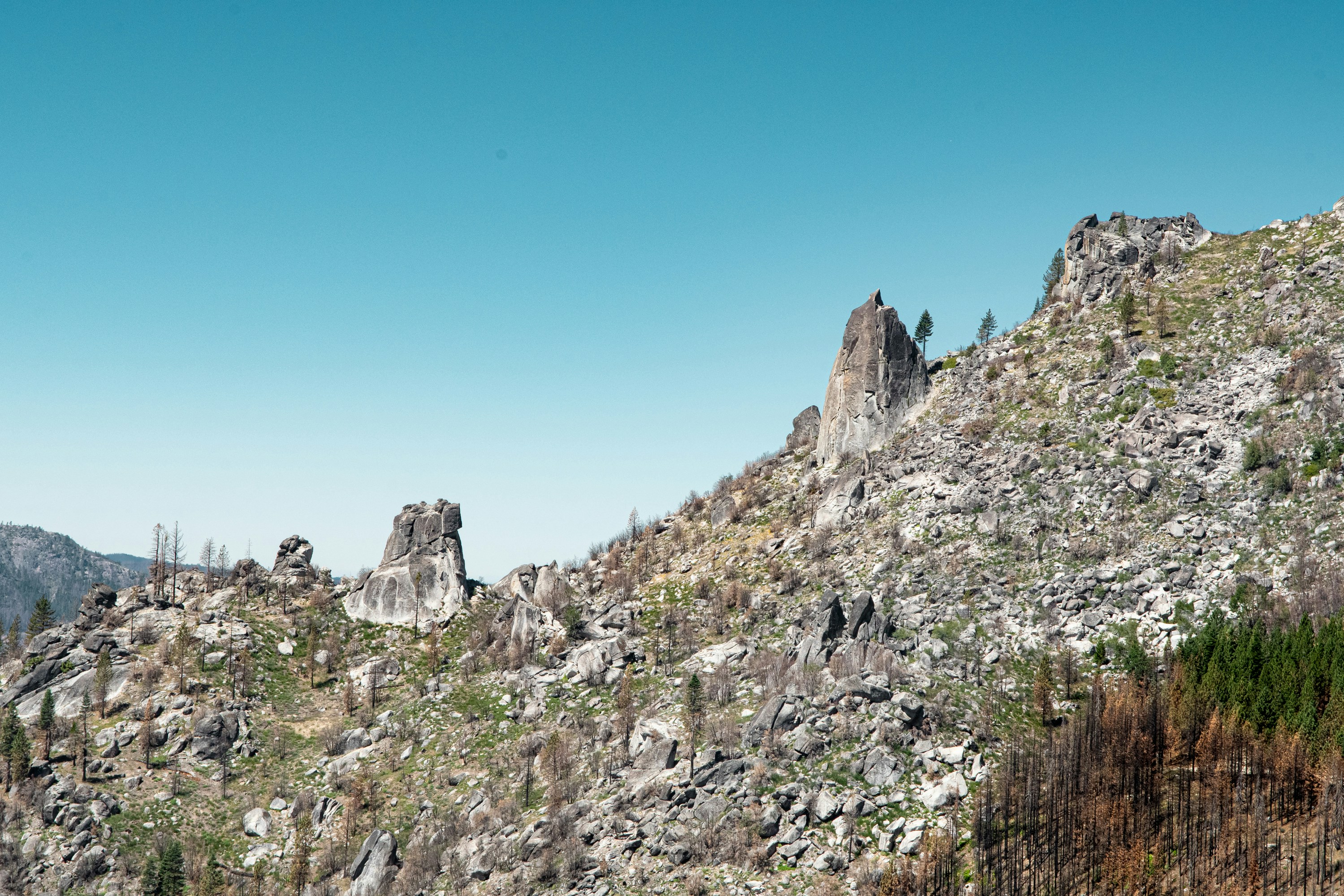 A rocky mountain with trees photo – Free Rock Image on Unsplash