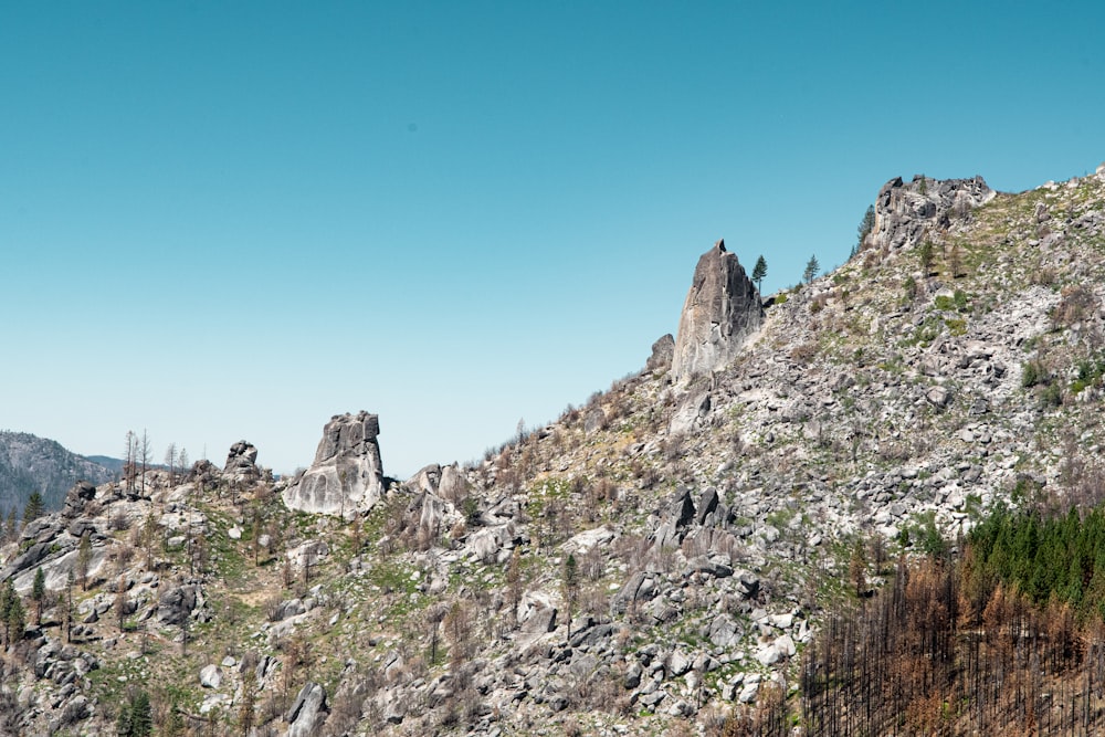 a rocky mountain with trees