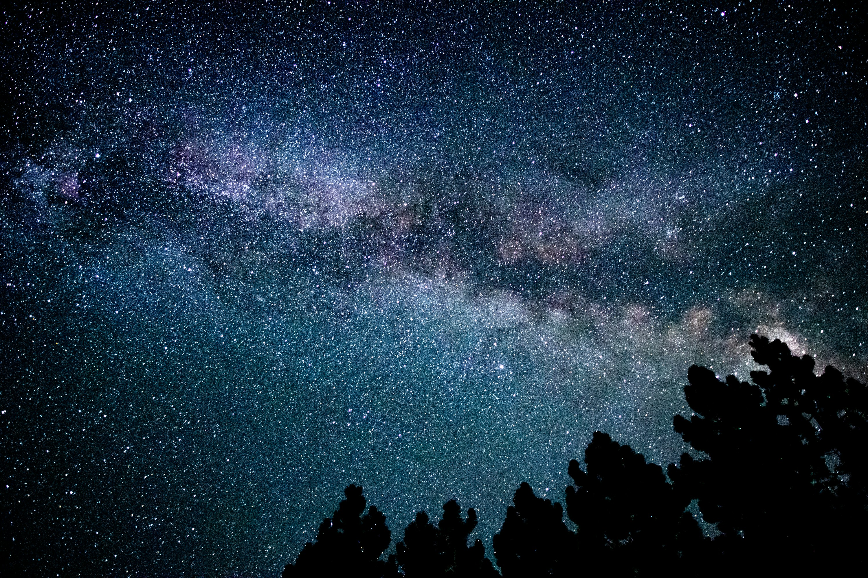 A starry night sky with trees photo – Free Grey Image on Unsplash