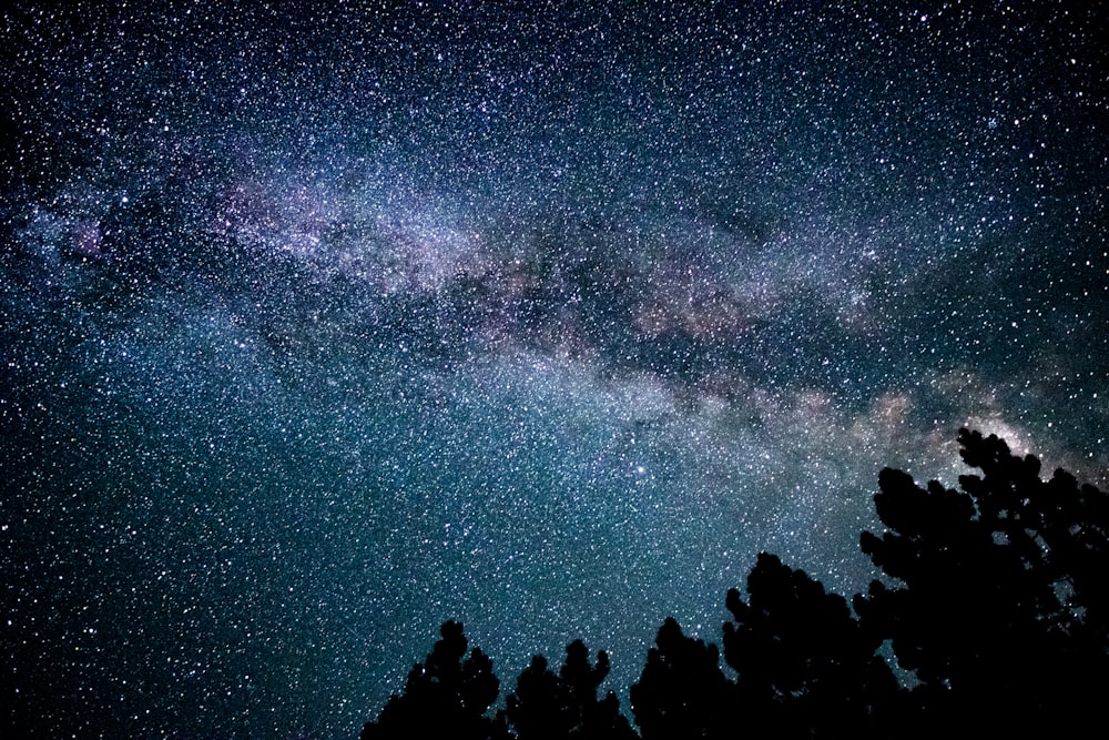 a starry night sky with trees