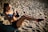 A person is performing a workout with a kettlebell on a sandy beach. The individual is in an athletic pose, showcasing toned muscles and wearing a sports bra and shorts. The sunlight casts shadows on the sand, highlighting the grainy texture of the ground.