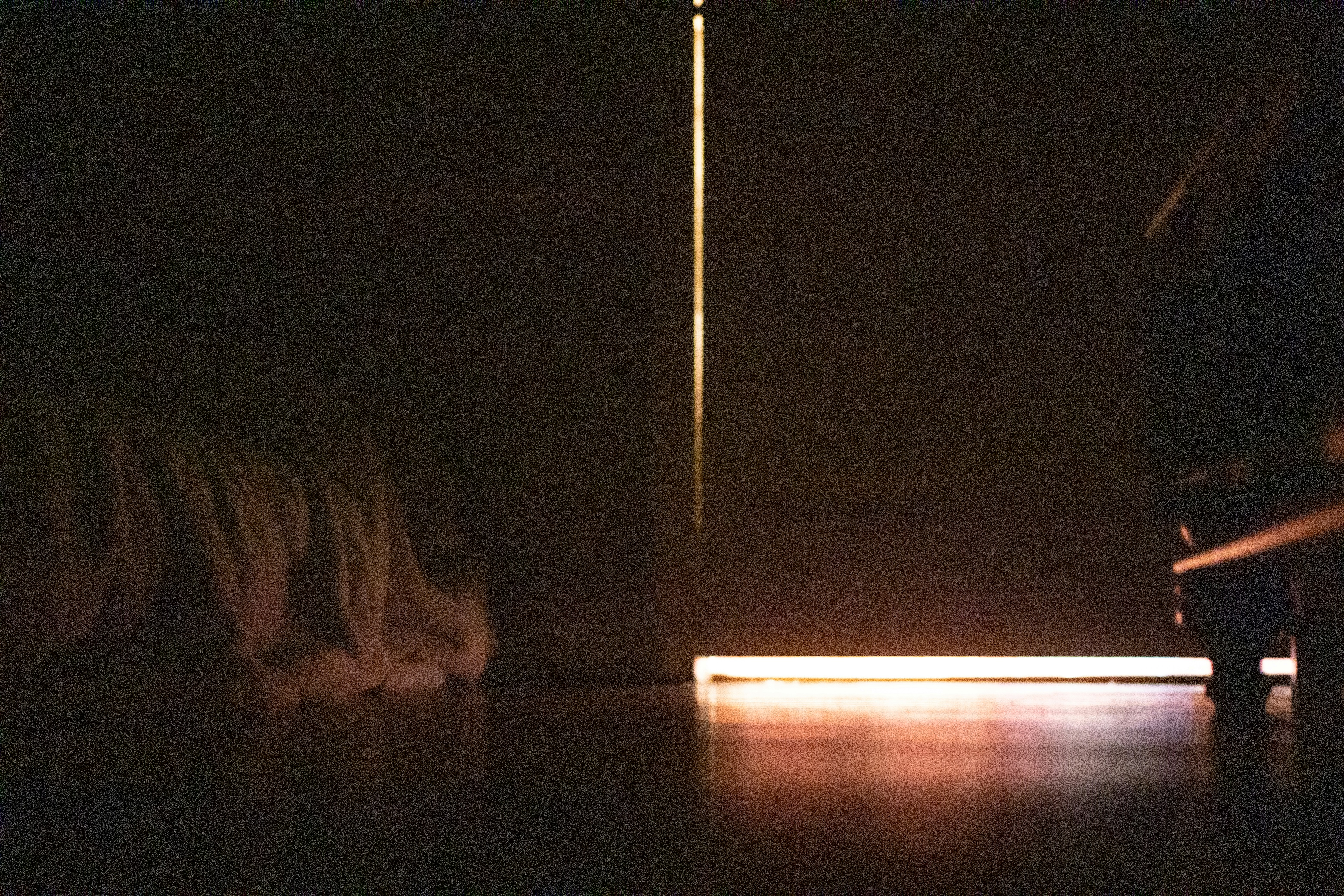 Close Encounters: Unveiling the Intriguing Mysteries of Intimate Alien Contact Experiences