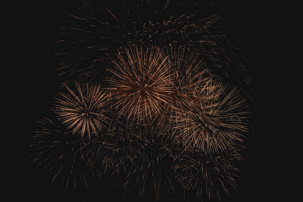 um grupo de fogos de artifício no céu noturno