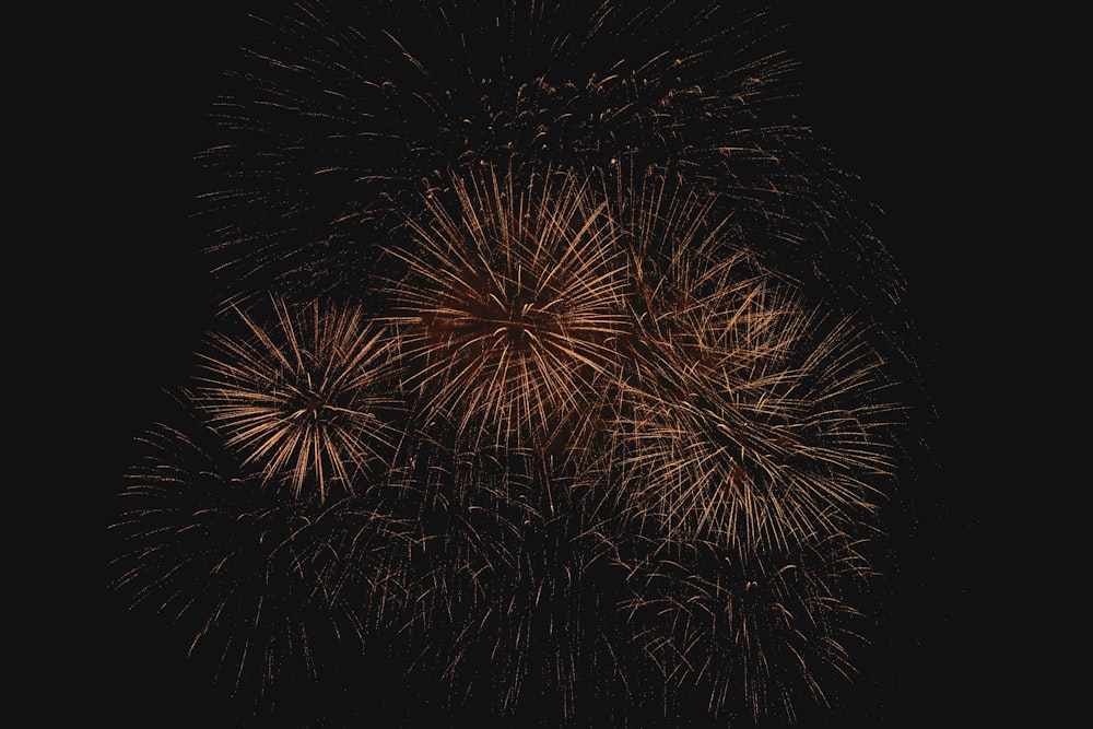 a group of fireworks in the night sky