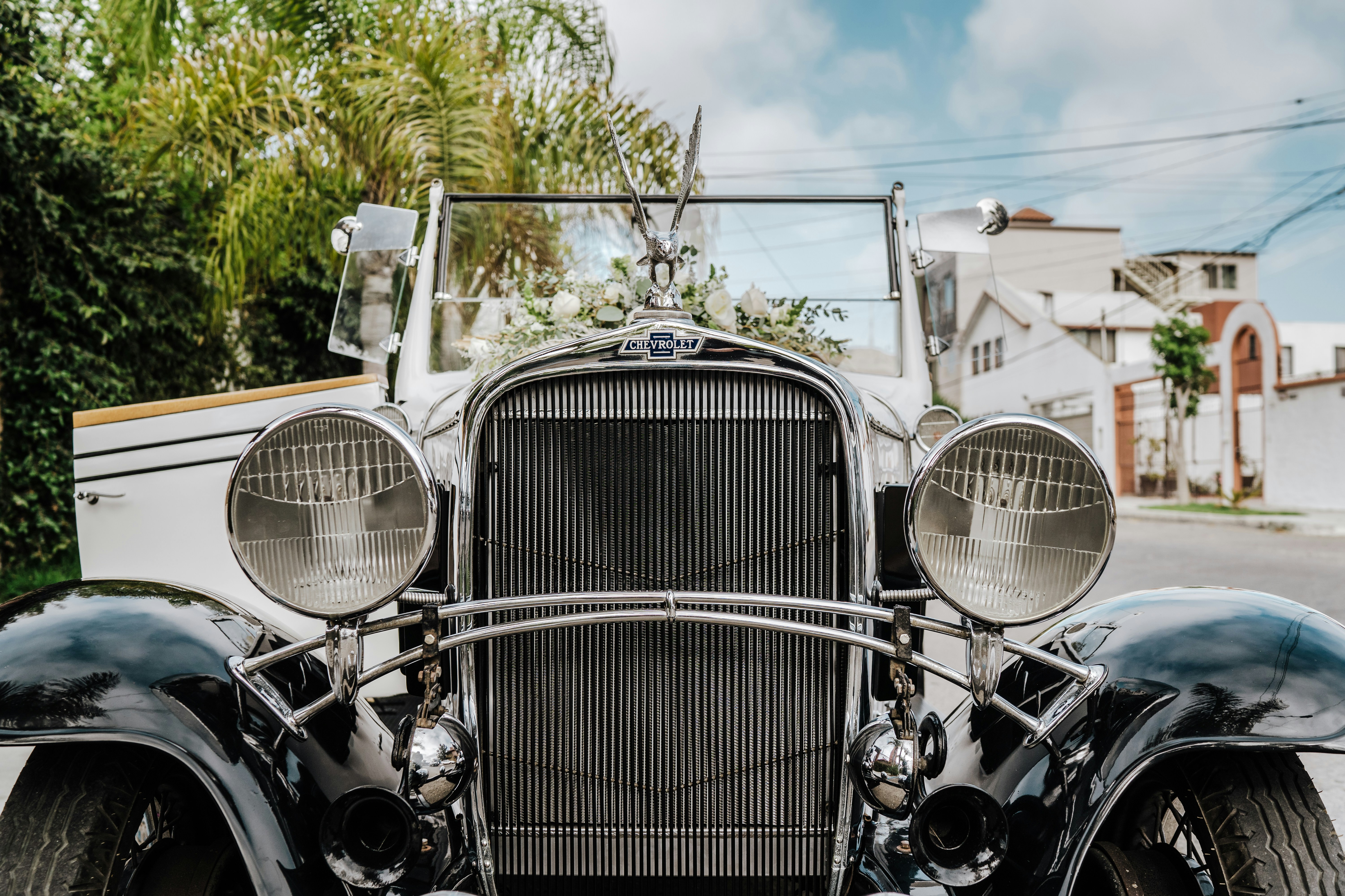 Photo by josuemichelphotography