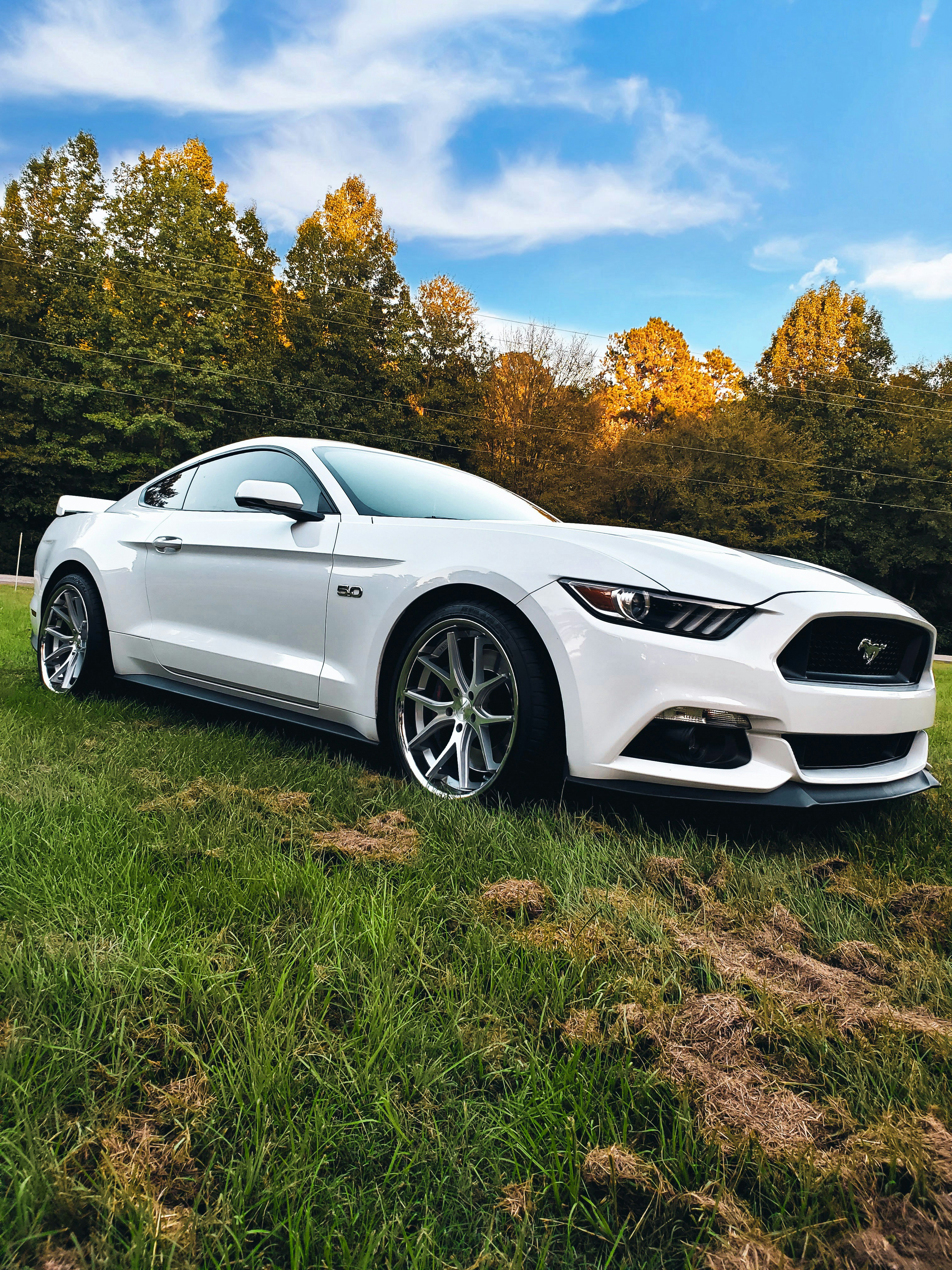 a white sports car parked on grass