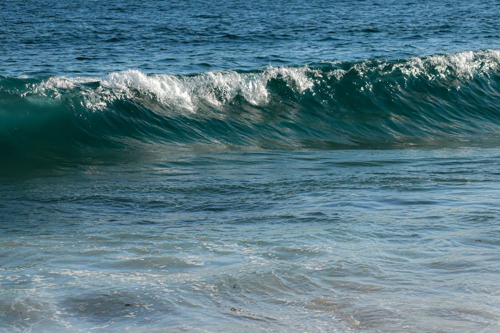 a wave in the ocean