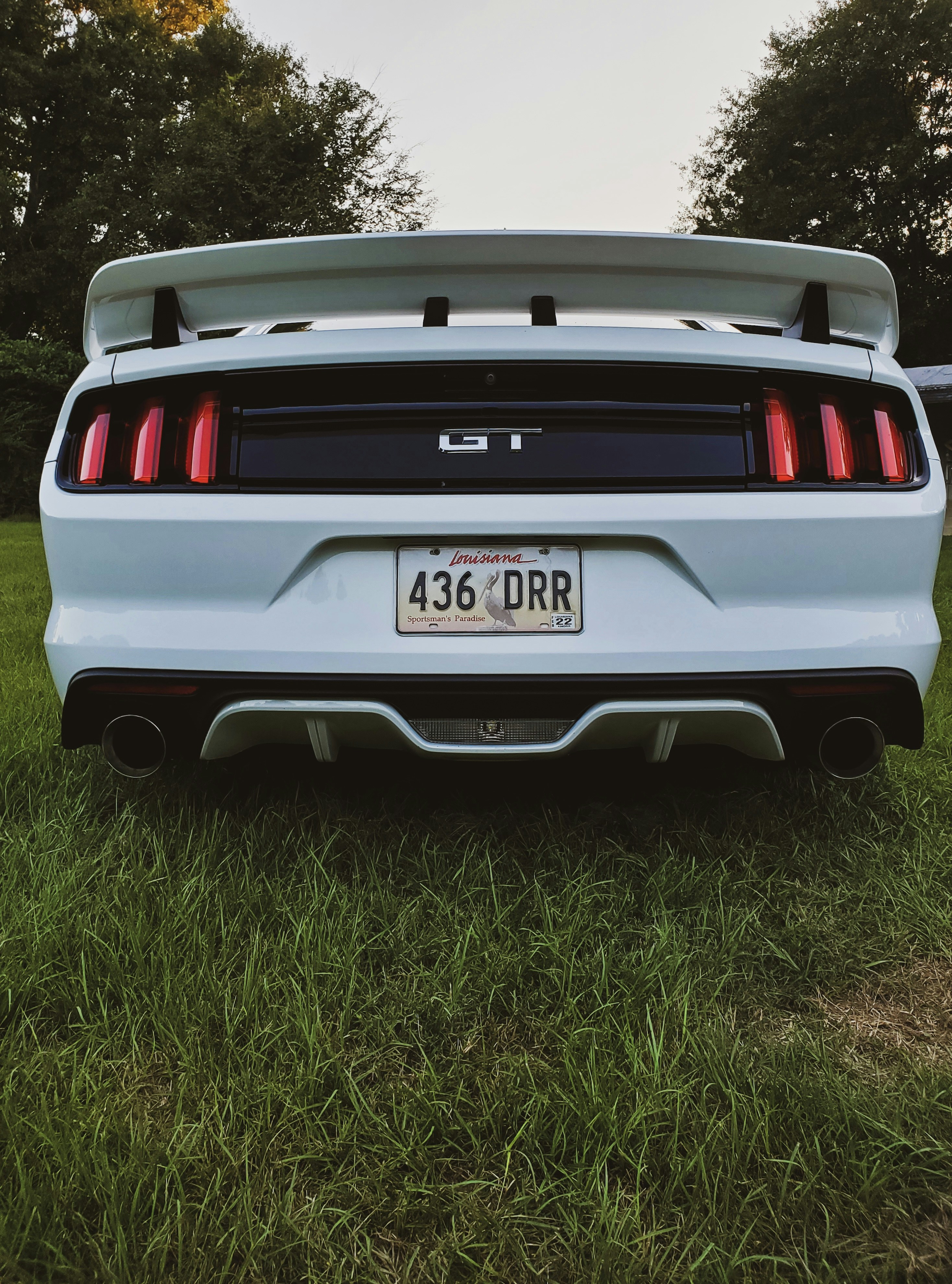 Photo by phonephotos