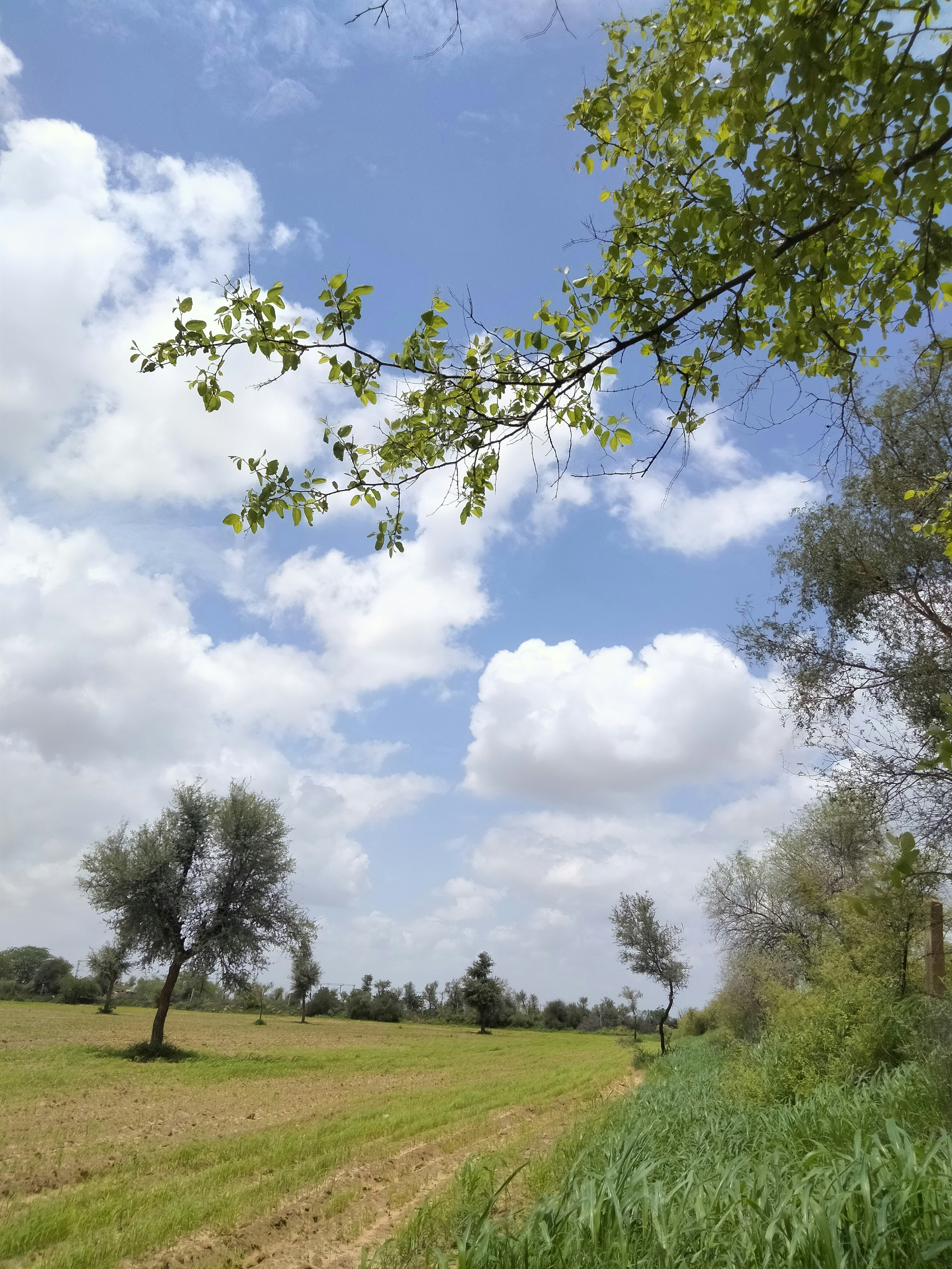 Photo by vikrambhartigoswami