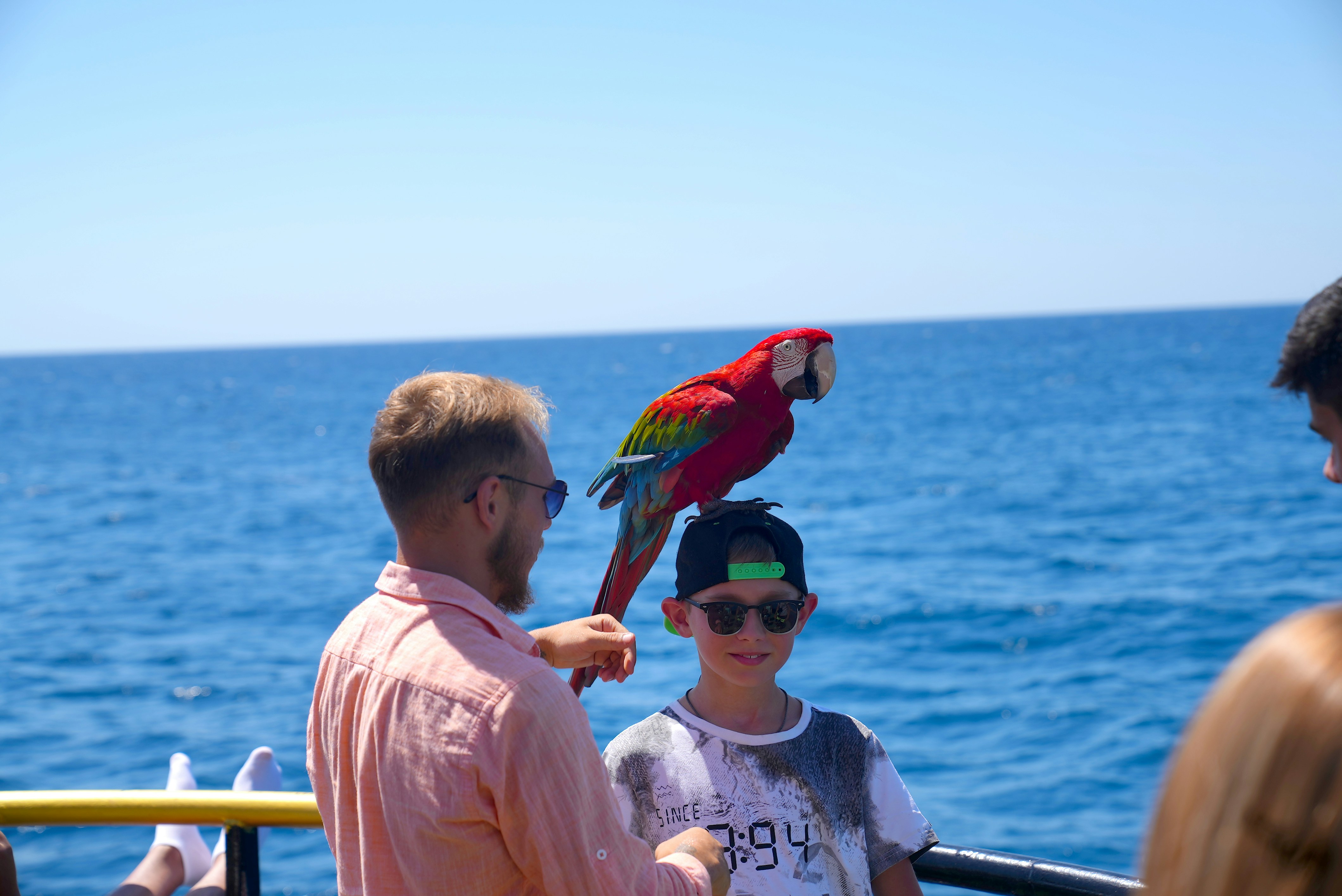 Unique Personalities Align (image credits: unsplash)